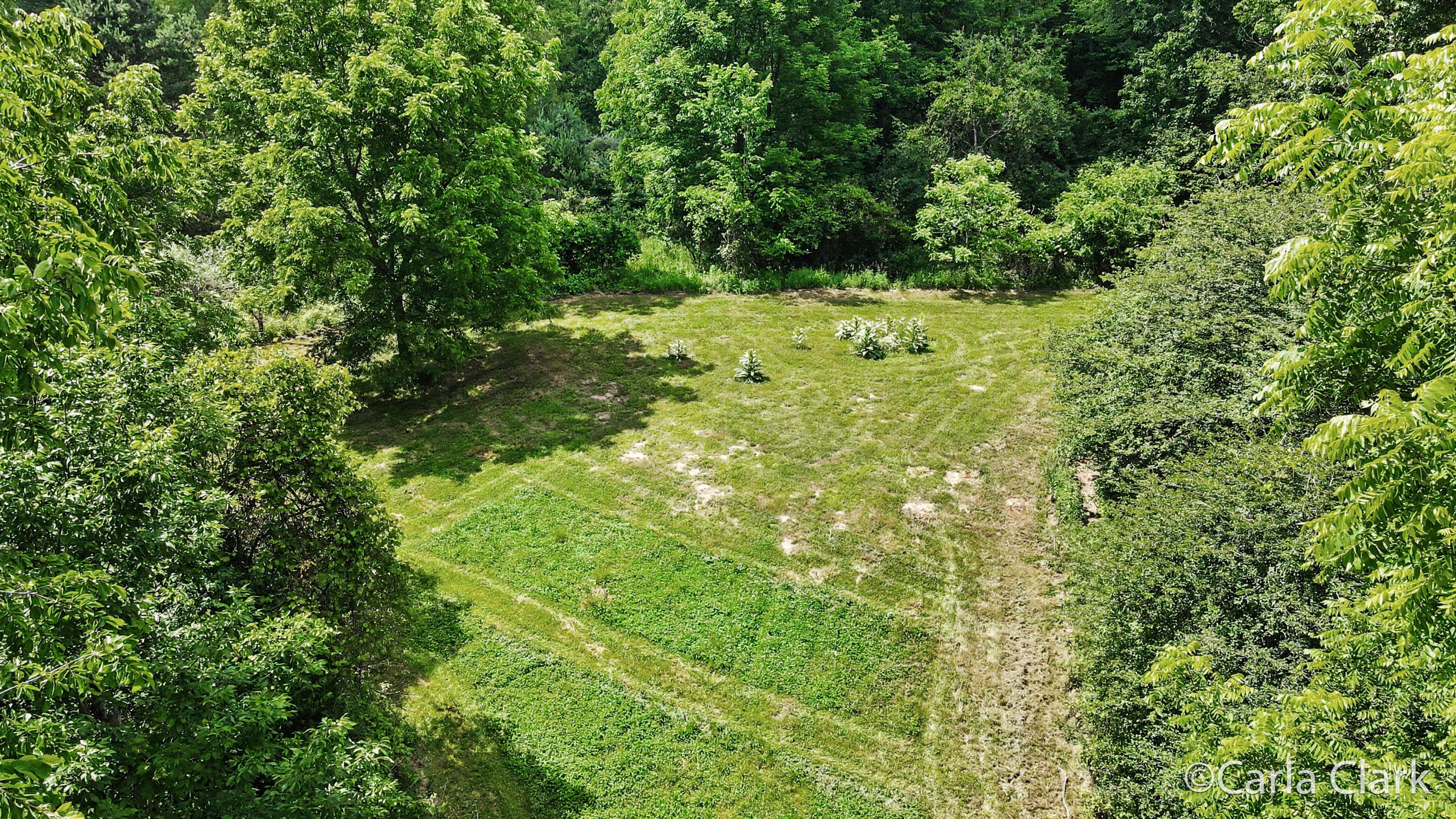 9899 Twelve Point Drive NE Rockford MI 49341