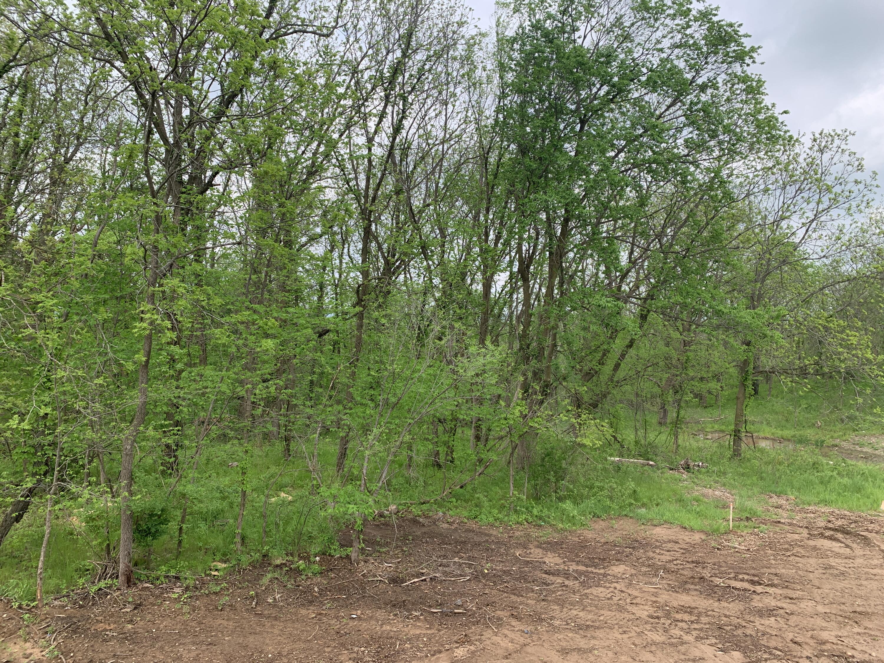 6557 Ravine Pt Drive NE Rockford MI 49341