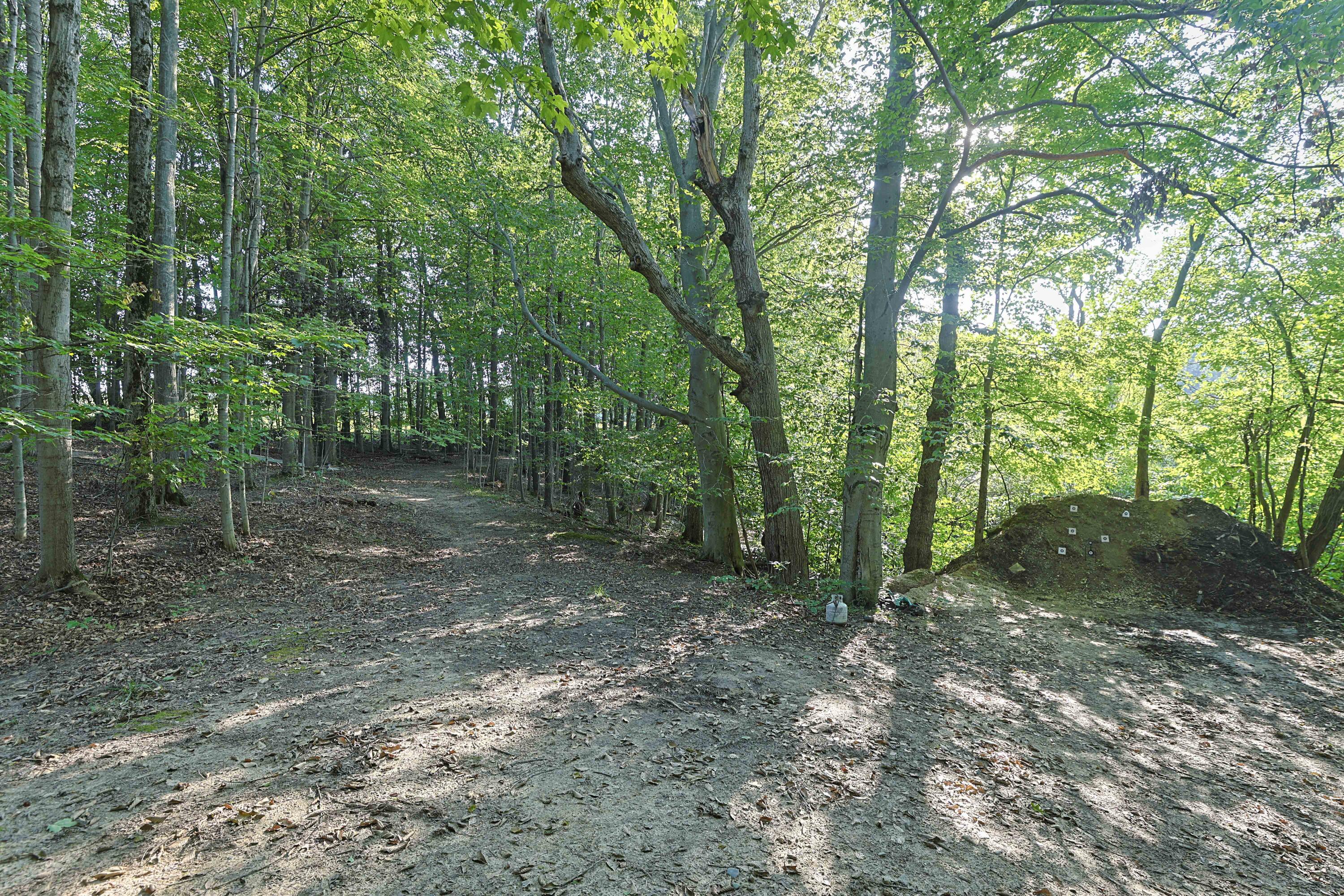 14910 Boyle Lake Road Buchanan MI 49107