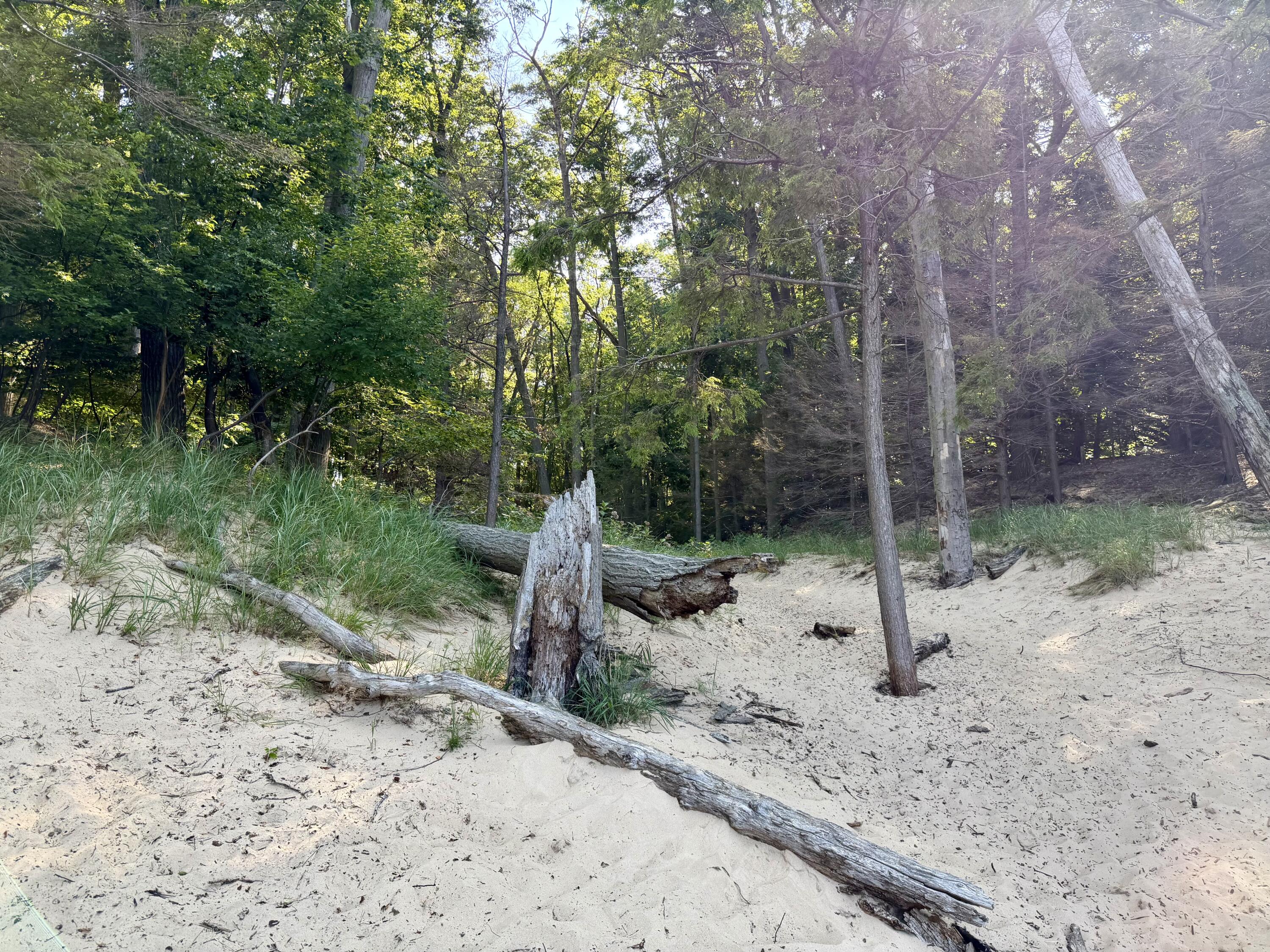 2081 Forest View Drive Norton Shores MI 49441