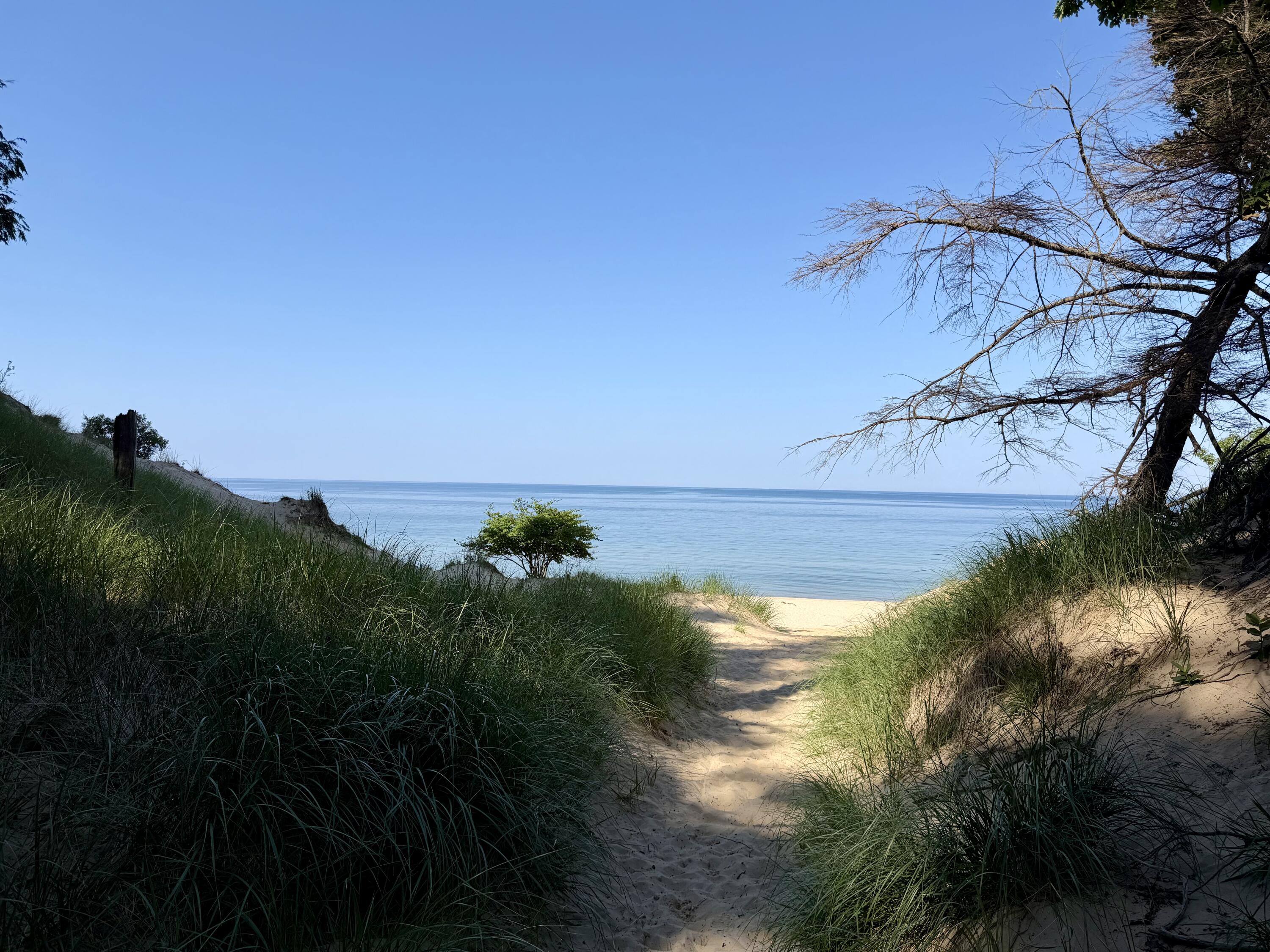 2081 Forest View Drive Norton Shores MI 49441