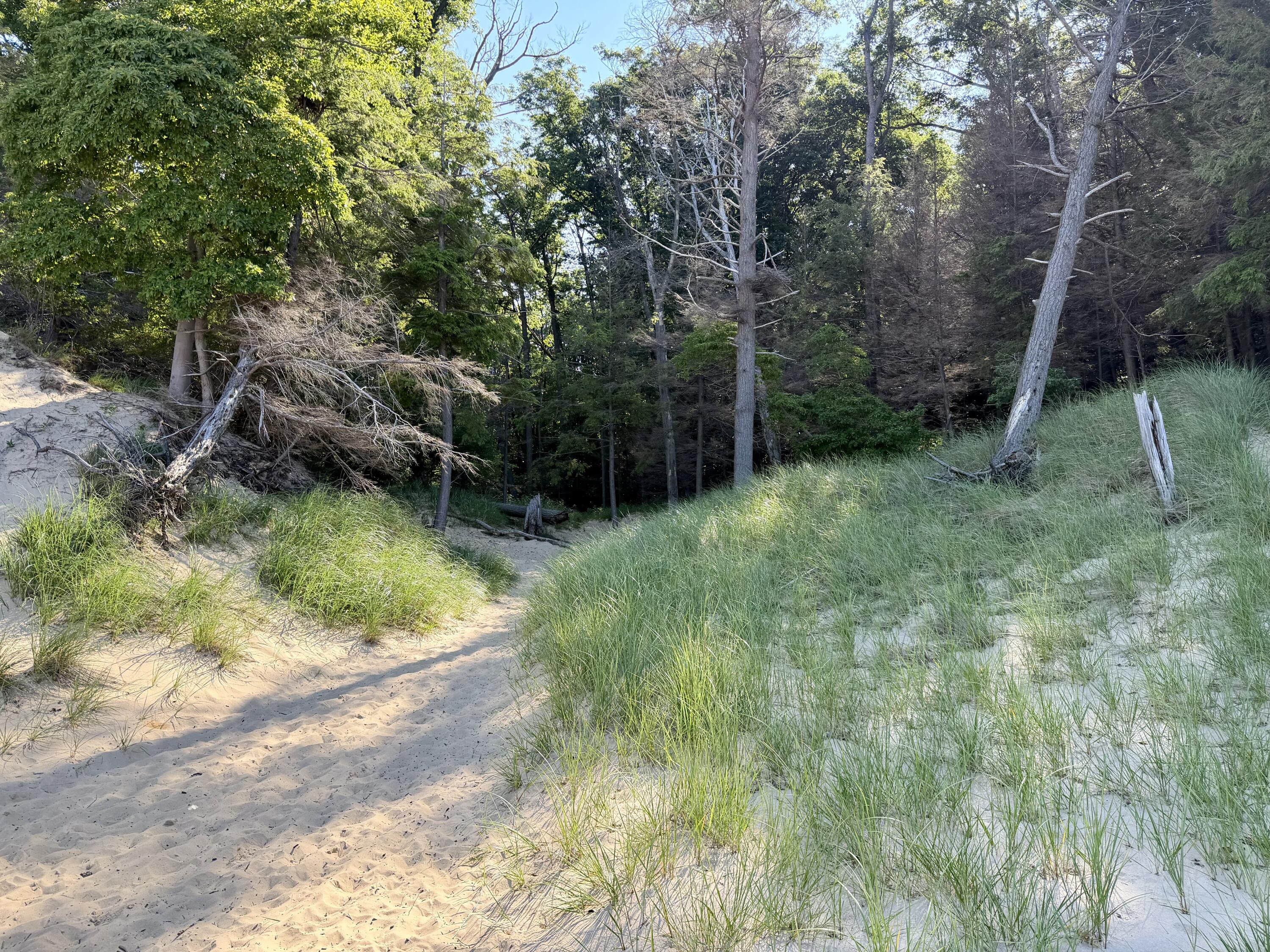 2081 Forest View Drive Norton Shores MI 49441