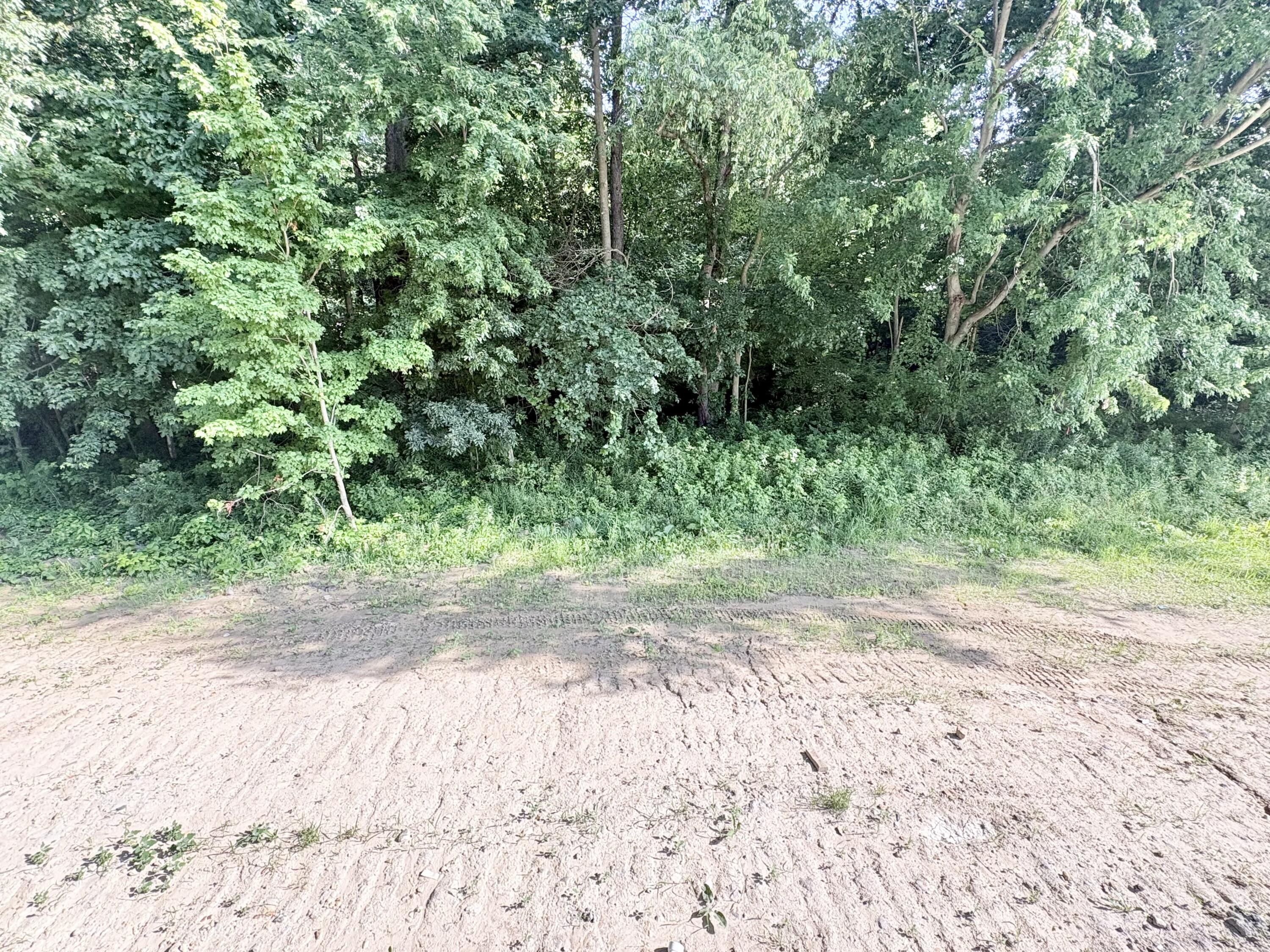 1206 Sunfield Court Byron Center MI 49315