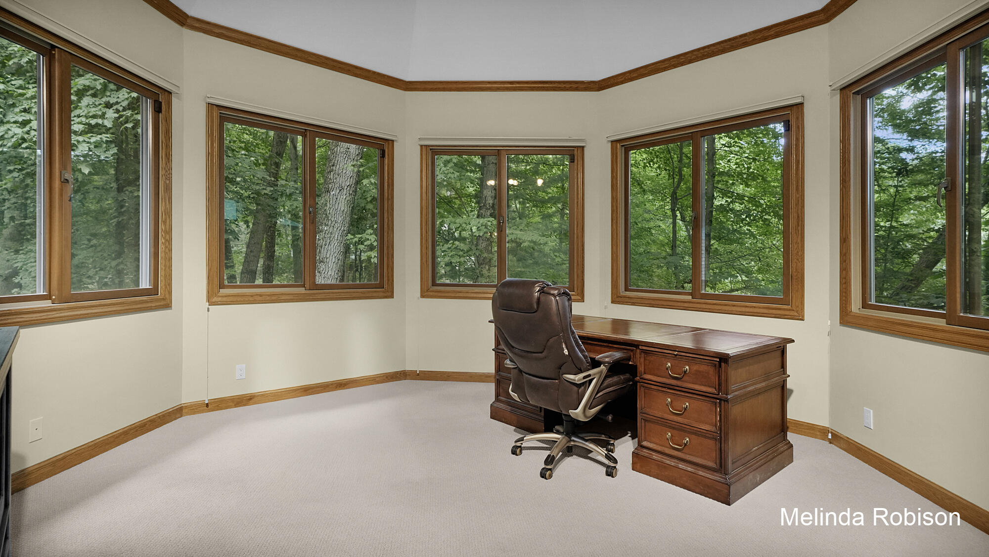1579 Winterwood Drive NE Grand Rapids MI 49525
