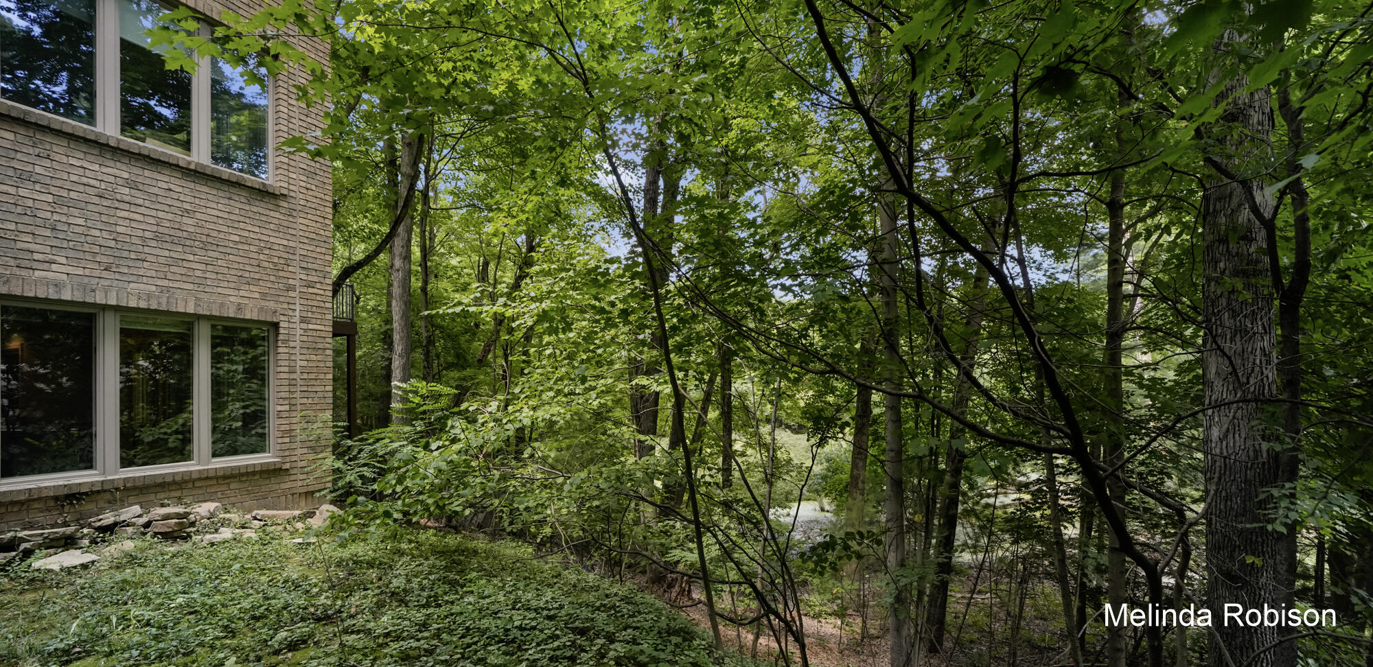 1579 Winterwood Drive NE Grand Rapids MI 49525