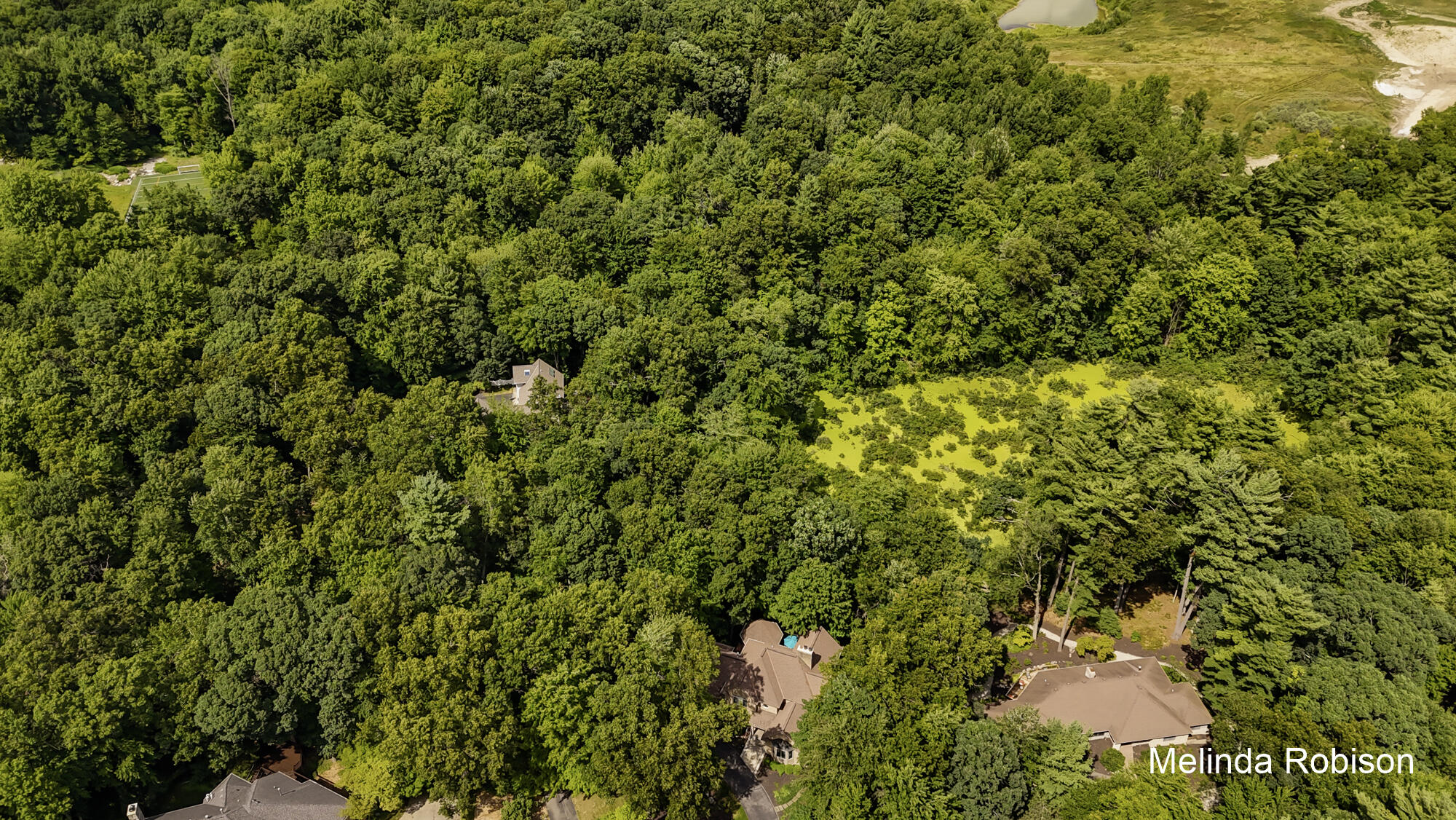 1579 Winterwood Drive NE Grand Rapids MI 49525