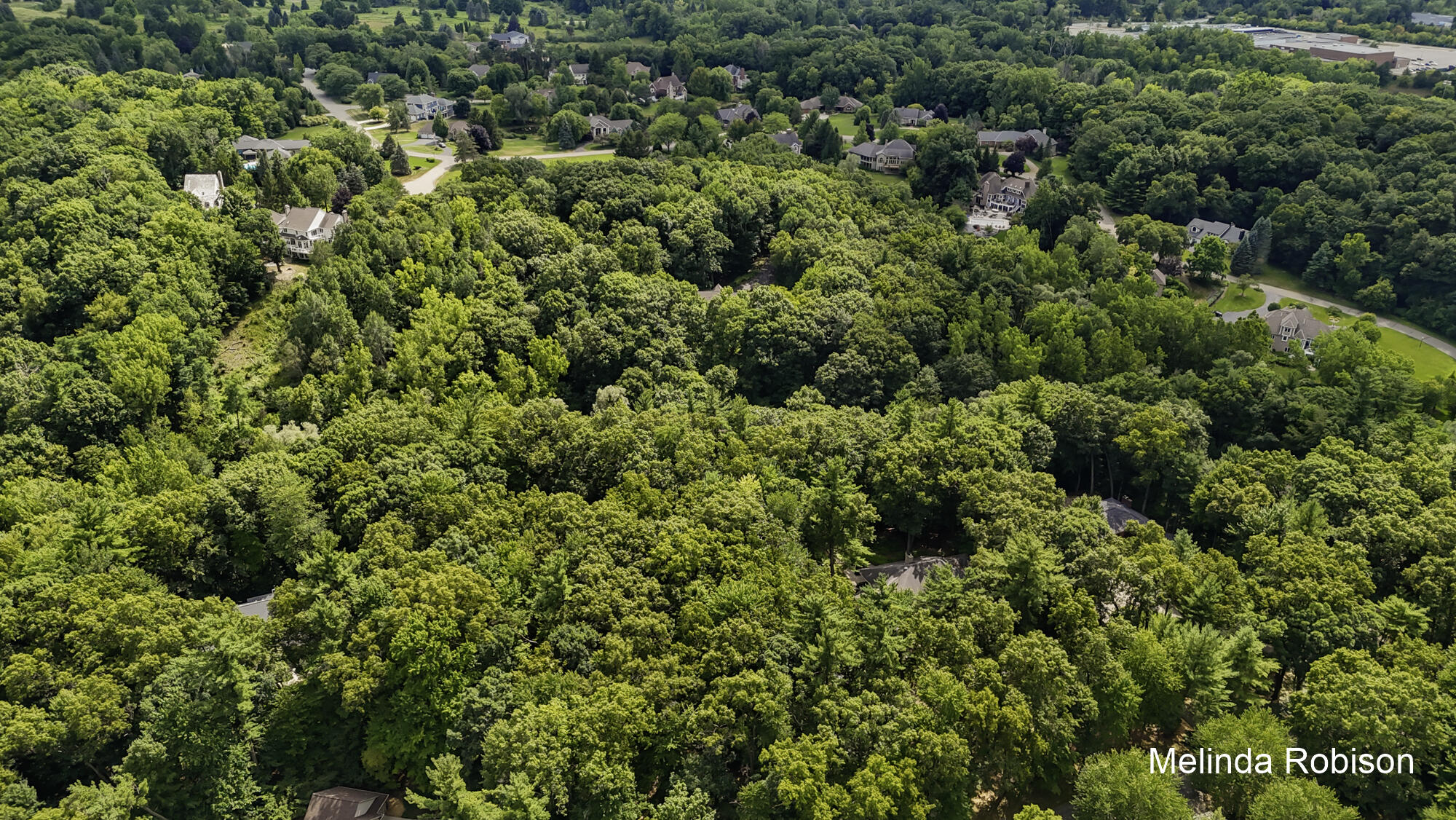 1579 Winterwood Drive NE Grand Rapids MI 49525