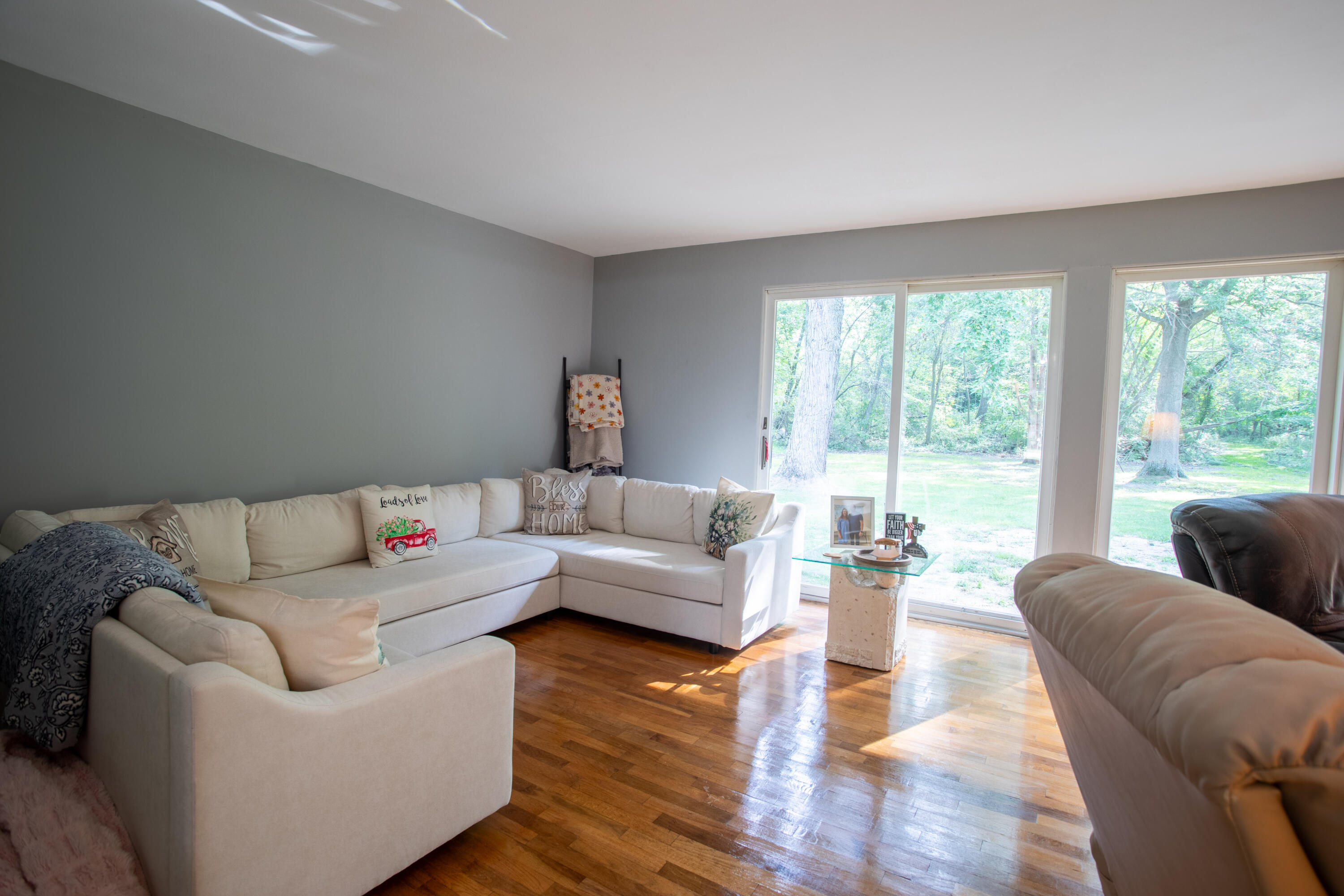 10163 Baldwin Road Bridgman MI 49106