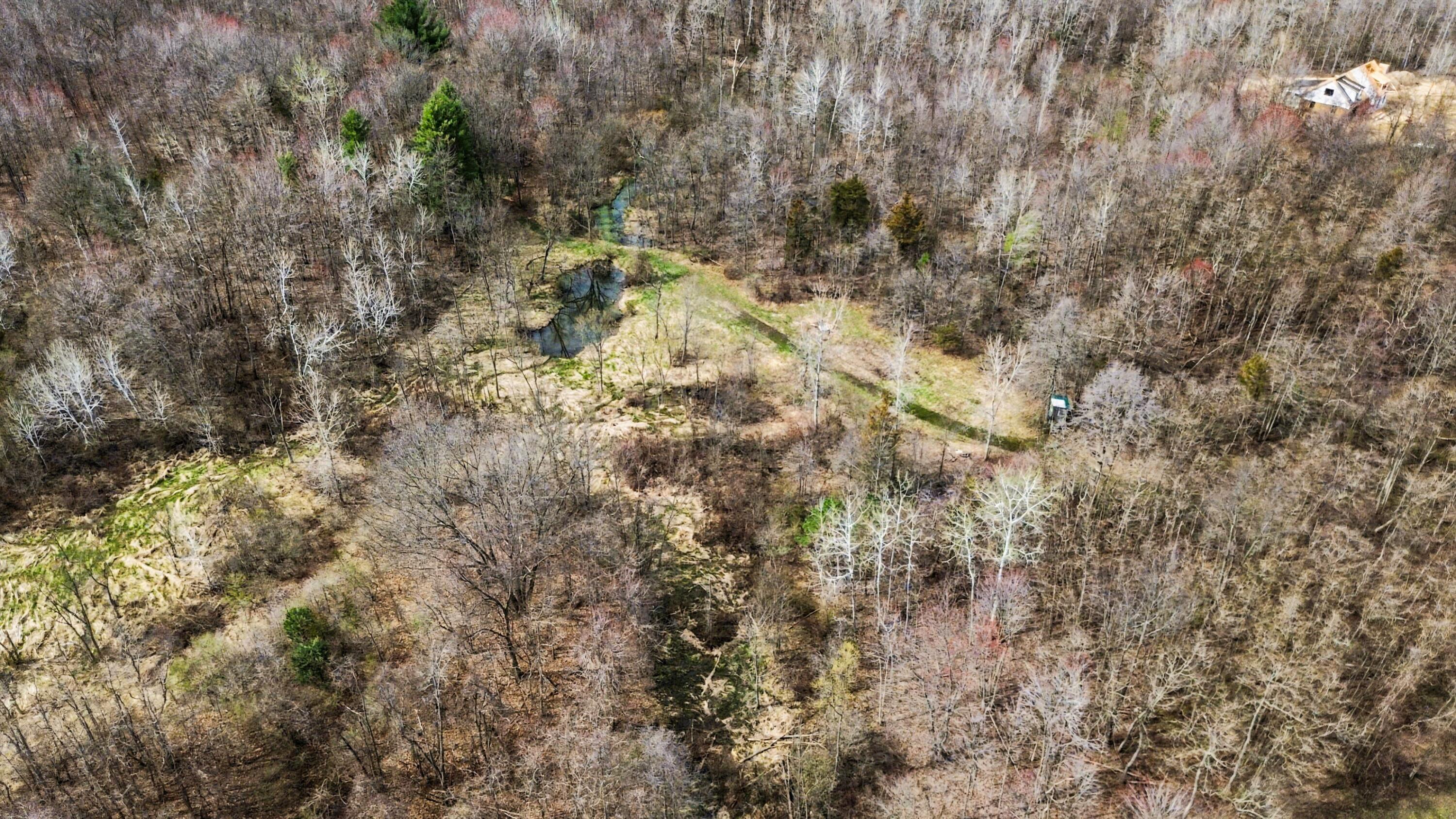 45284 Co Road 703 Coloma MI 49038