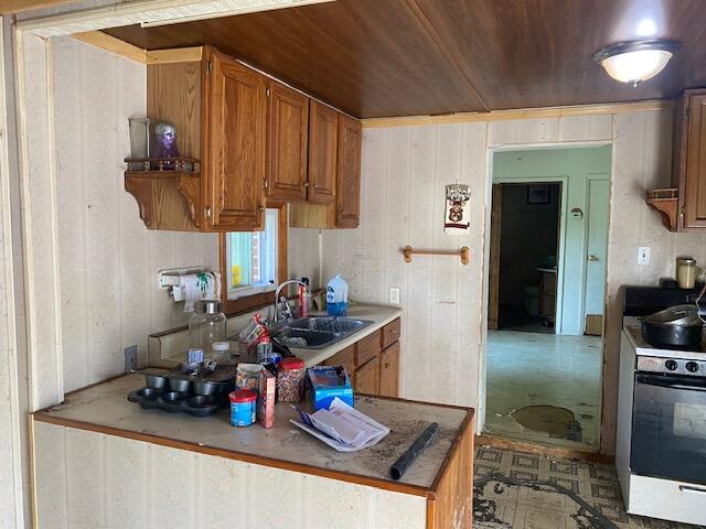 504 S Red Bud Trail Buchanan MI 49107