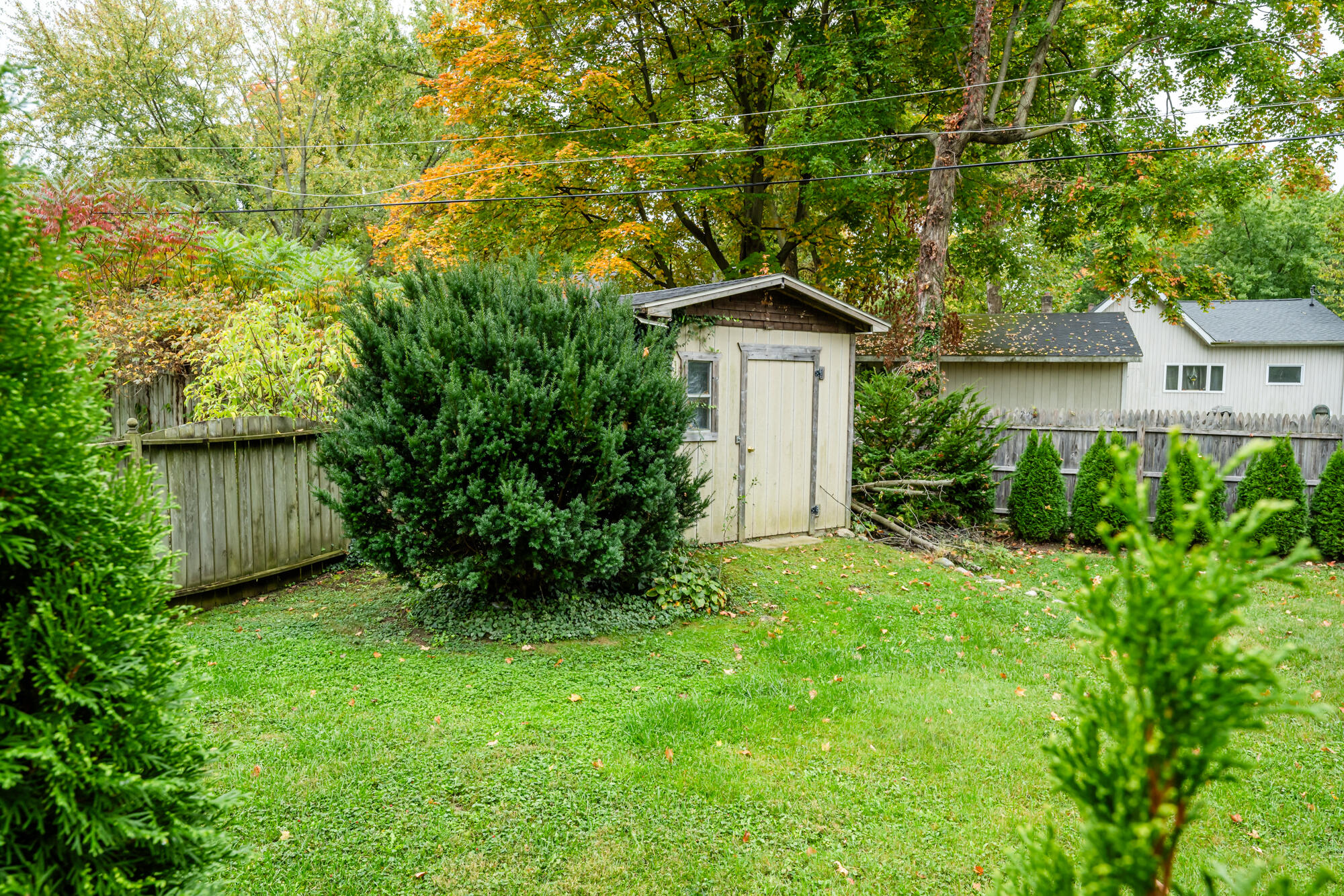 305 S Main Street Berrien Springs MI 49103