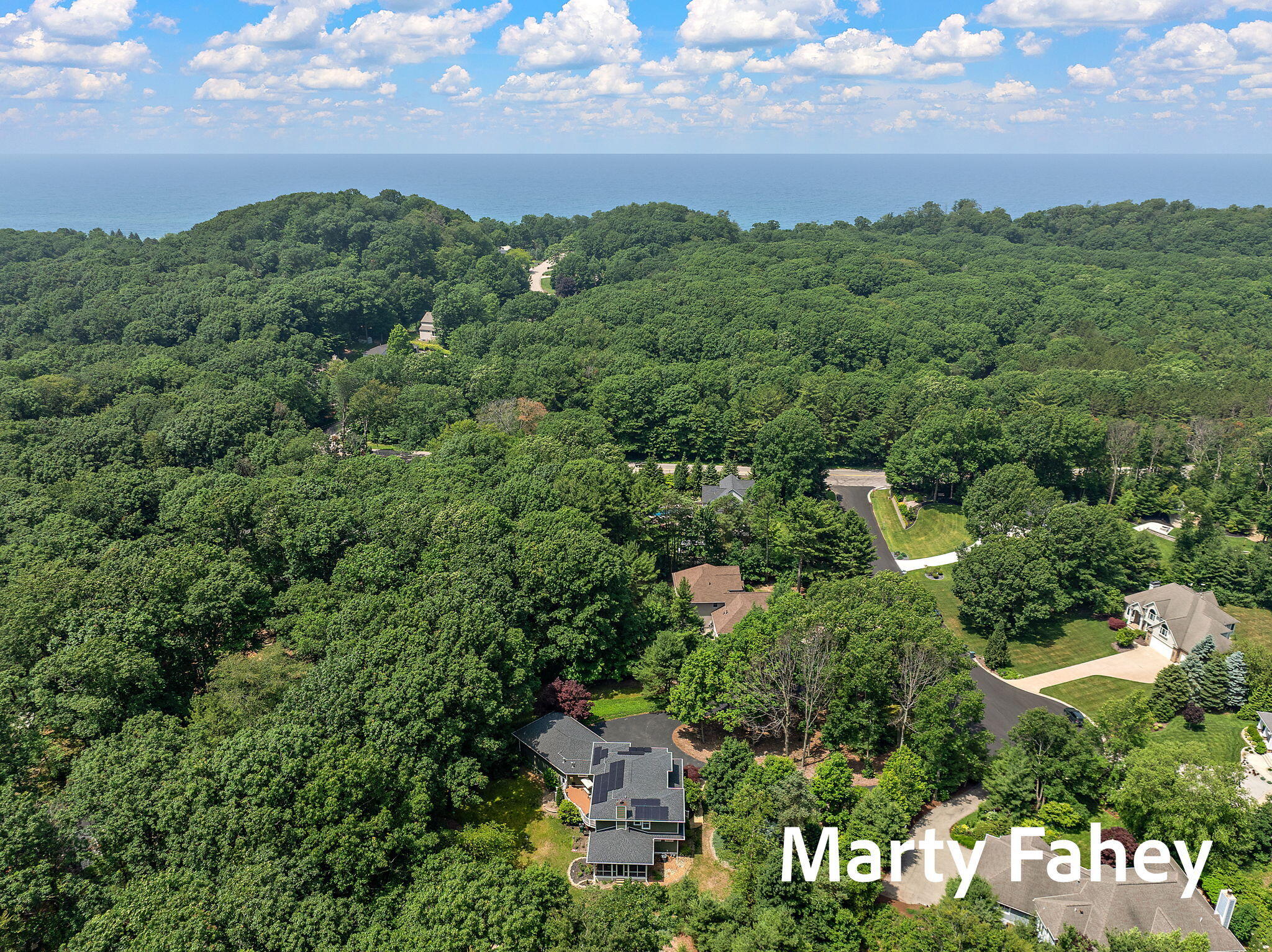17150 Majestic Ridge Court West Olive MI 49460