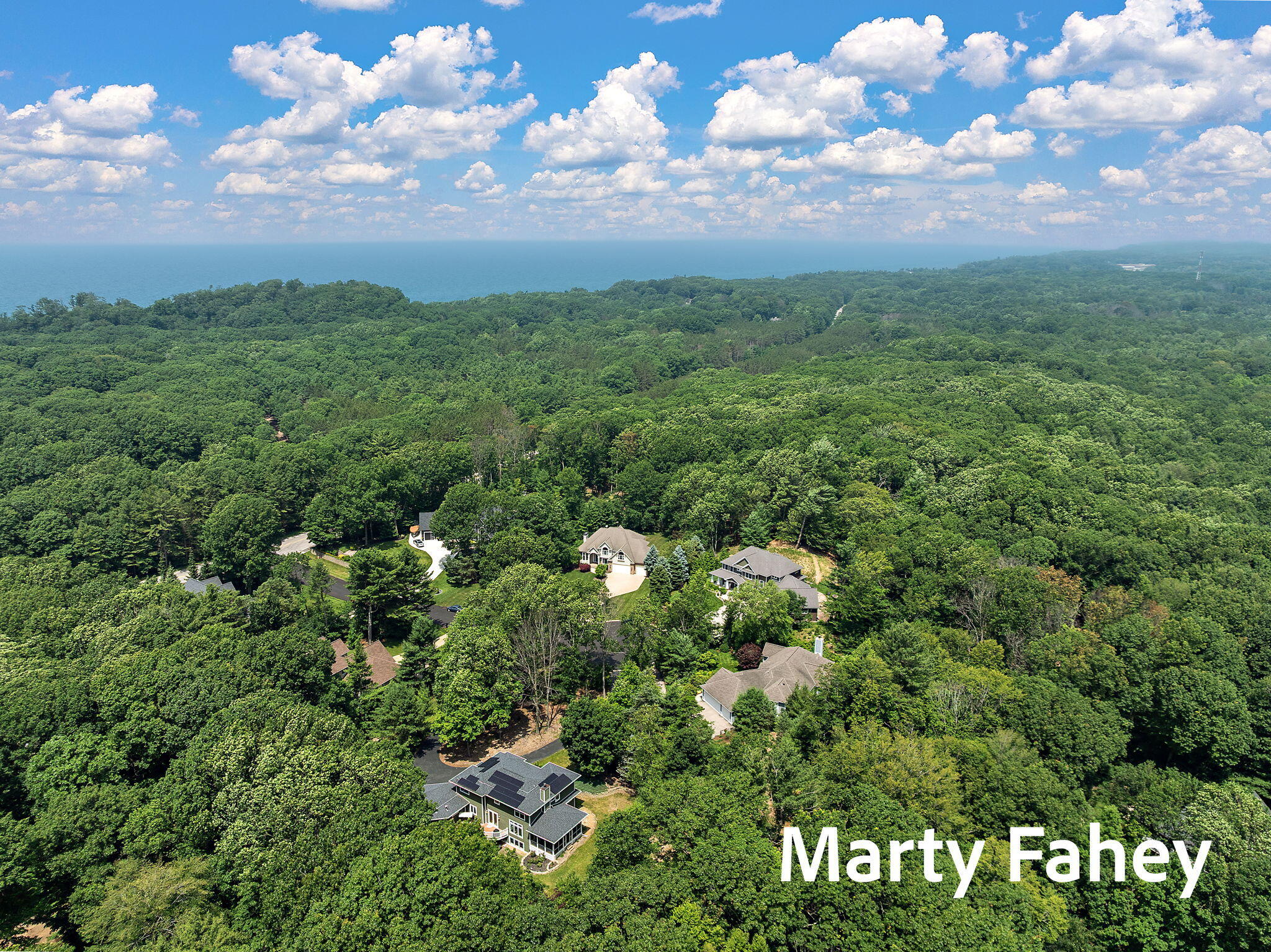 17150 Majestic Ridge Court West Olive MI 49460