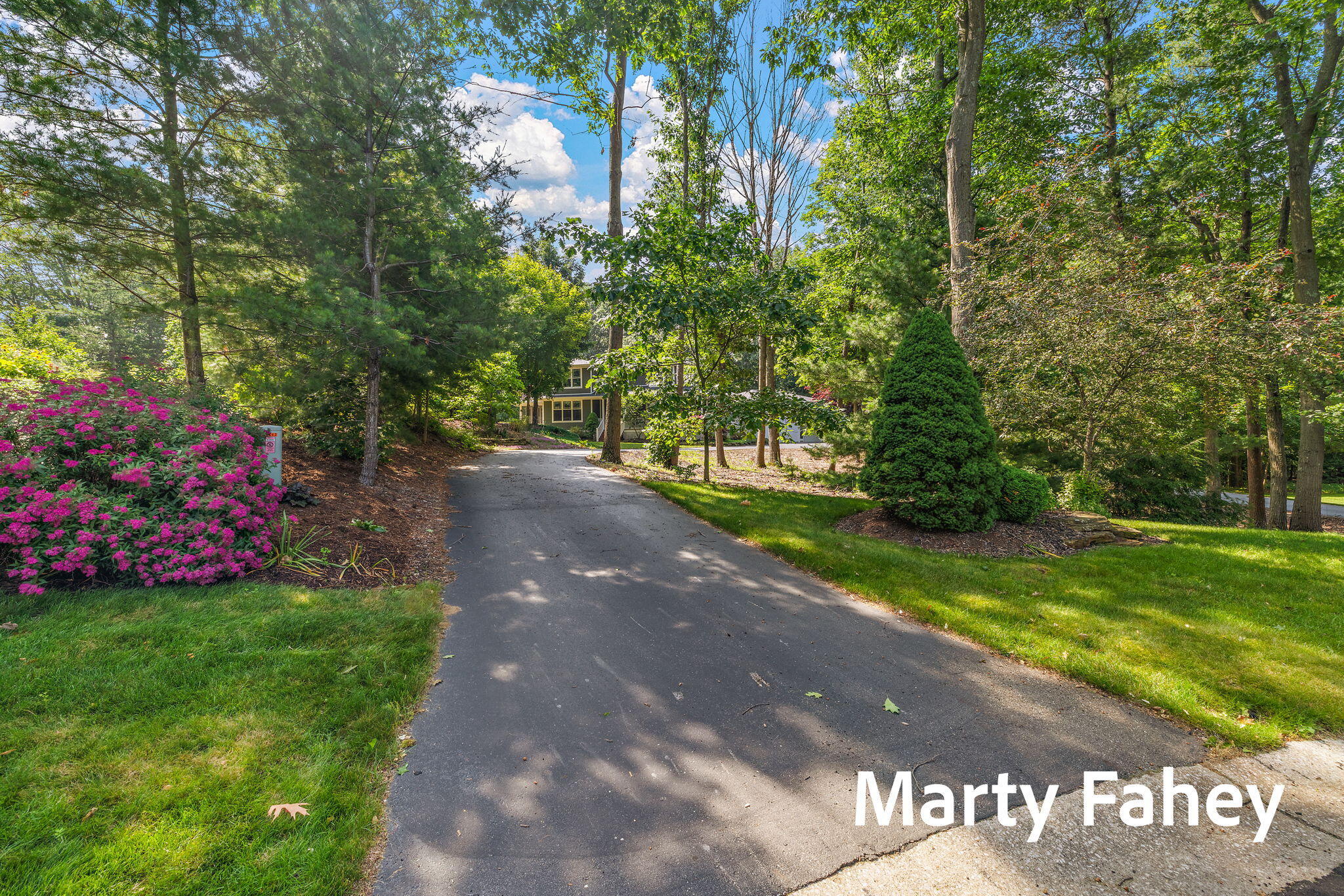 17150 Majestic Ridge Court West Olive MI 49460