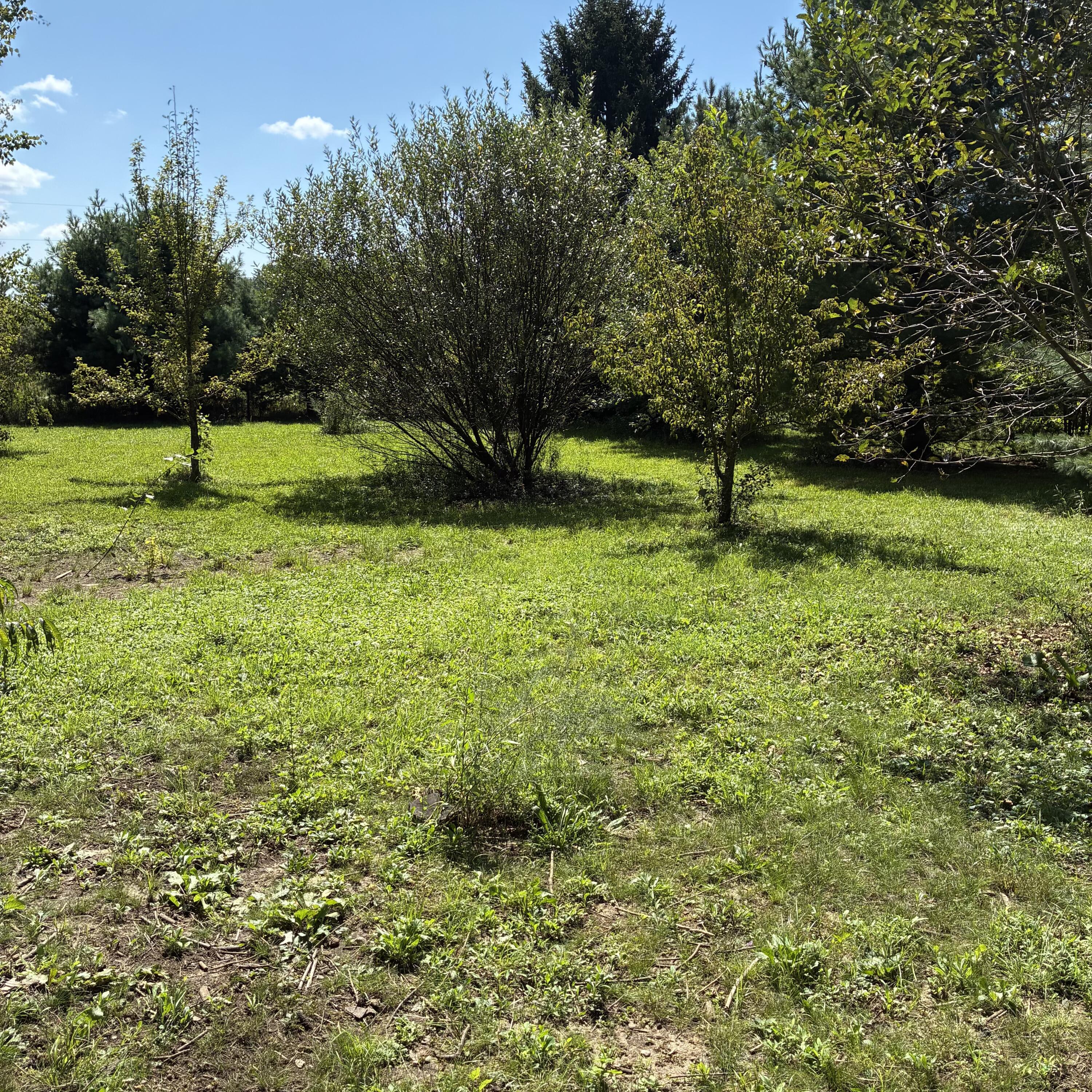 72670 Co Road 376 Covert MI 49043