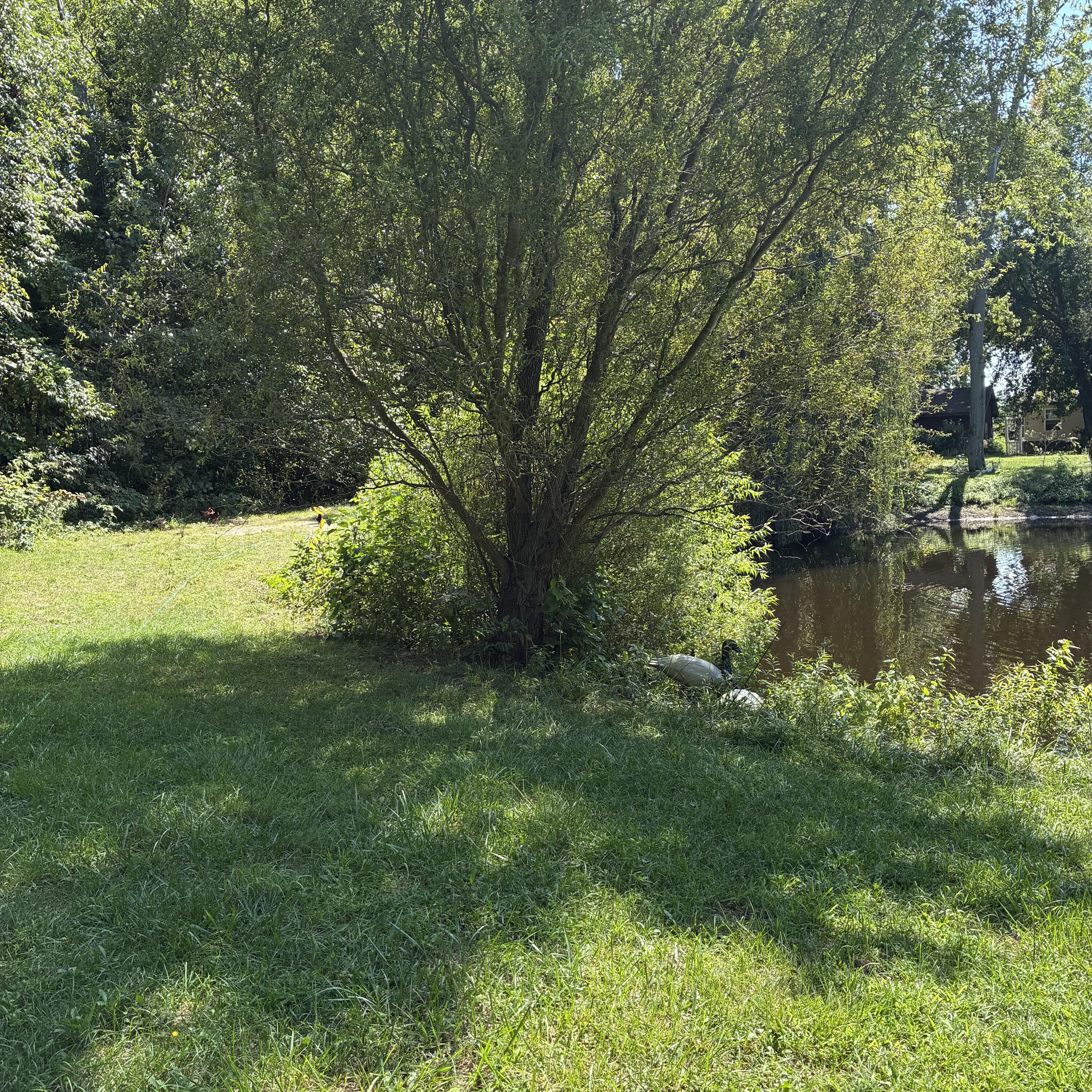 72670 Co Road 376 Covert MI 49043