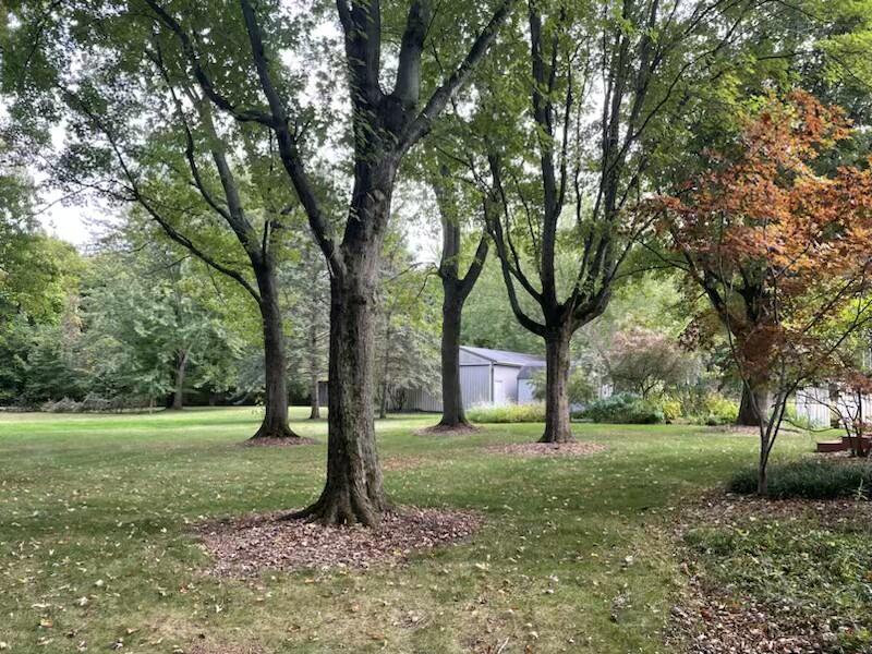 15677 Gardner Road Galien MI 49113