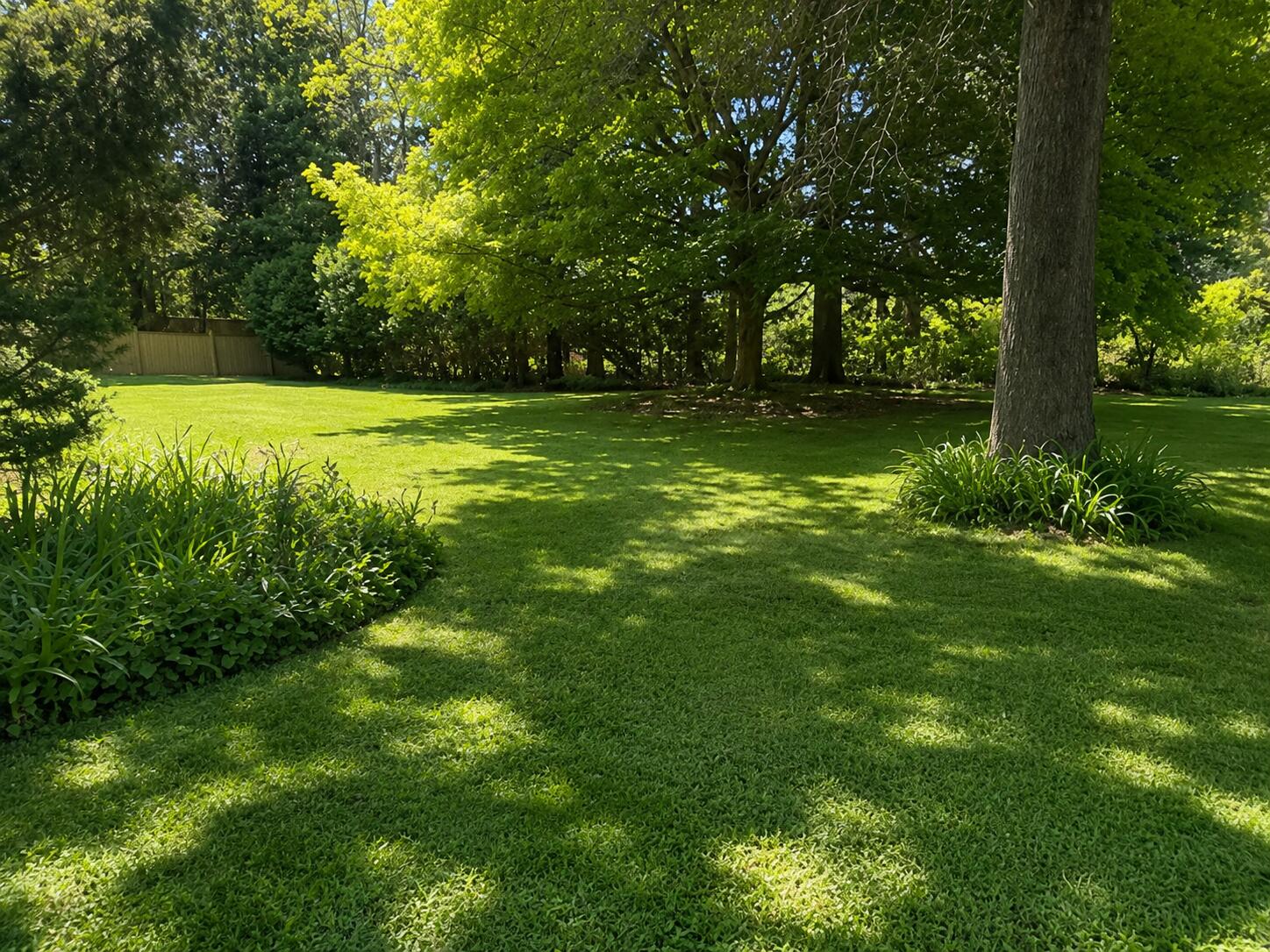 1165 Sassafras Lane Niles MI 49120