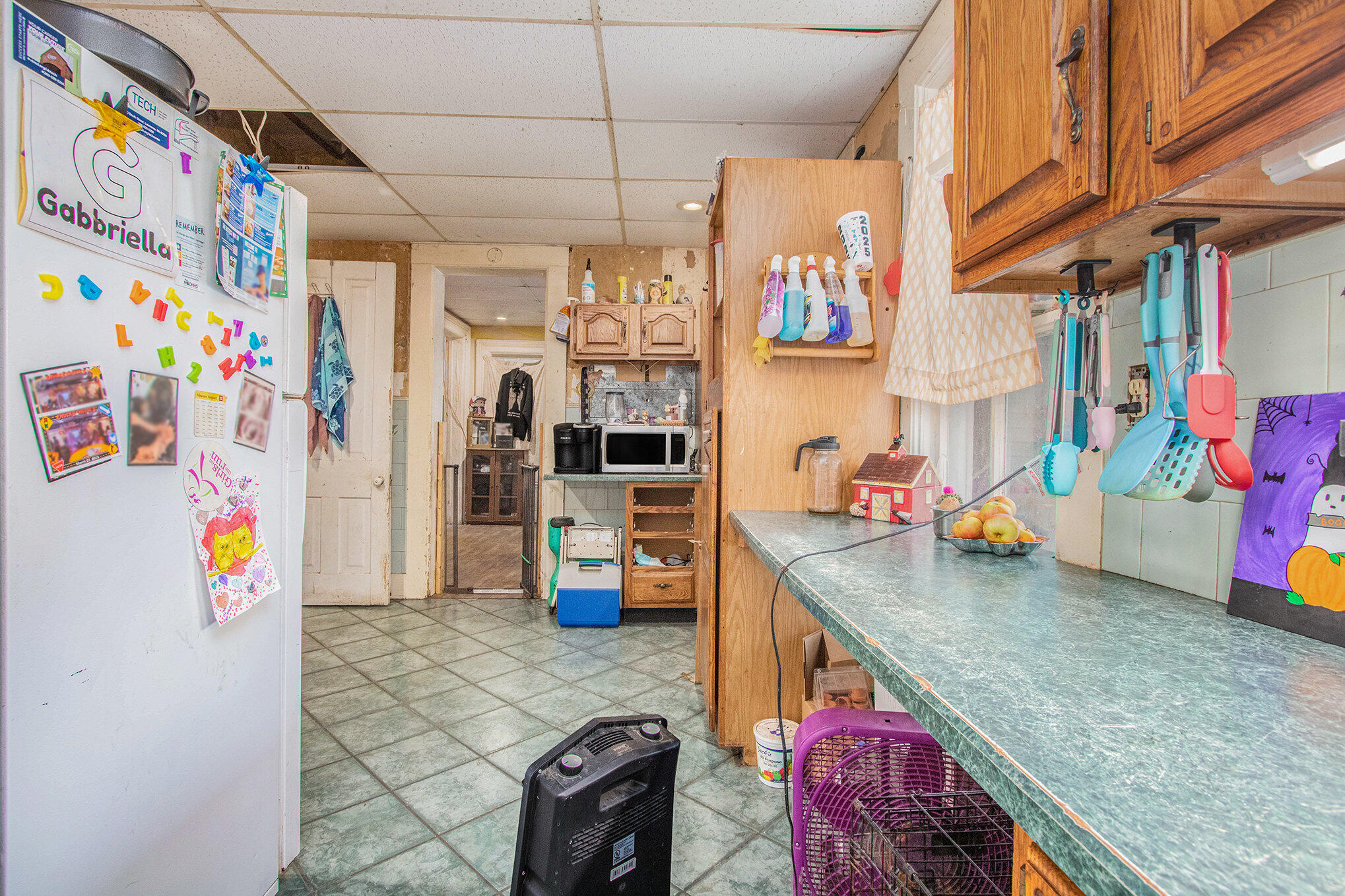 210 Mcomber Street Dowagiac MI 49047