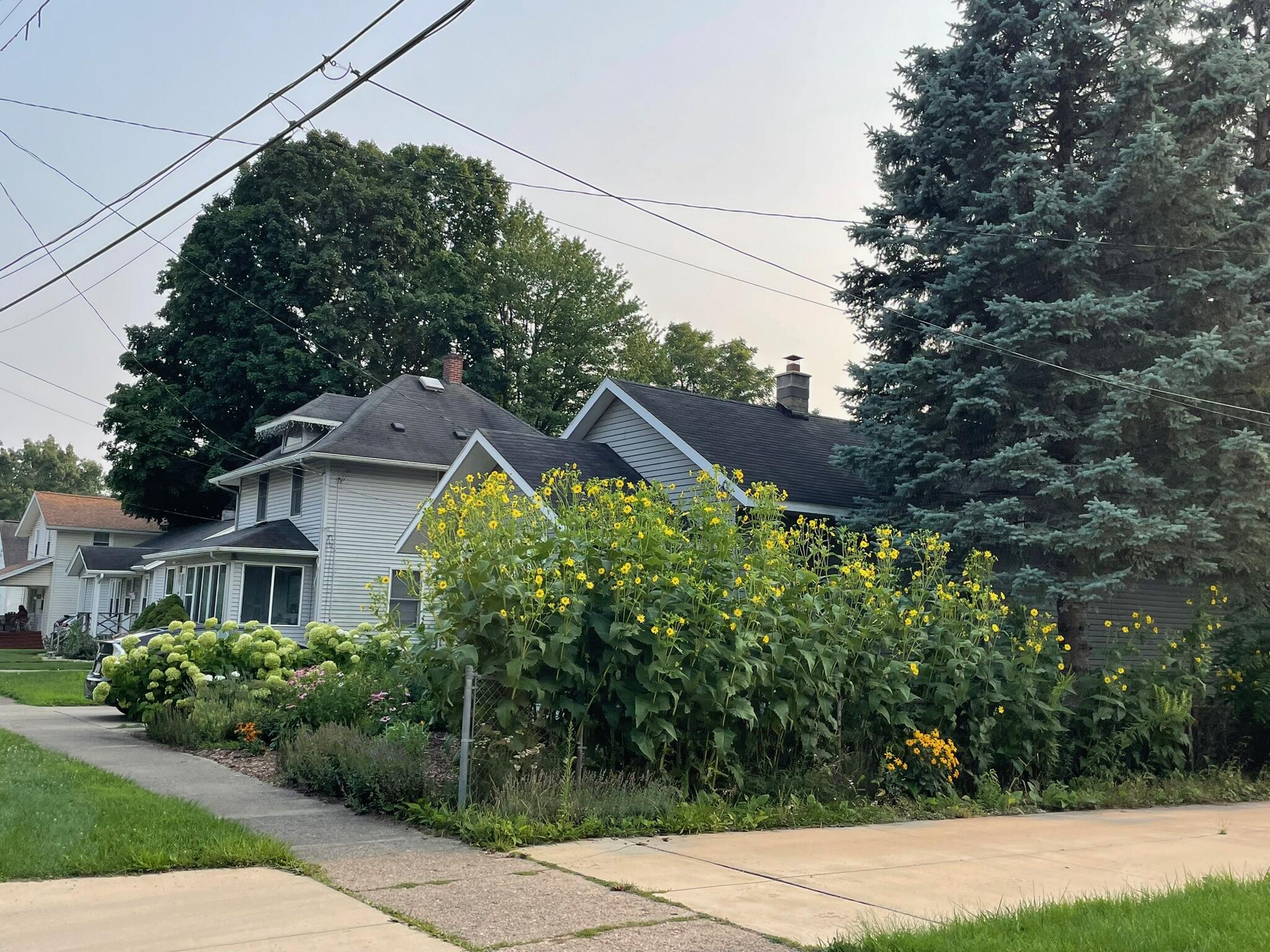 221 Nelson Avenue Kalamazoo MI 49006