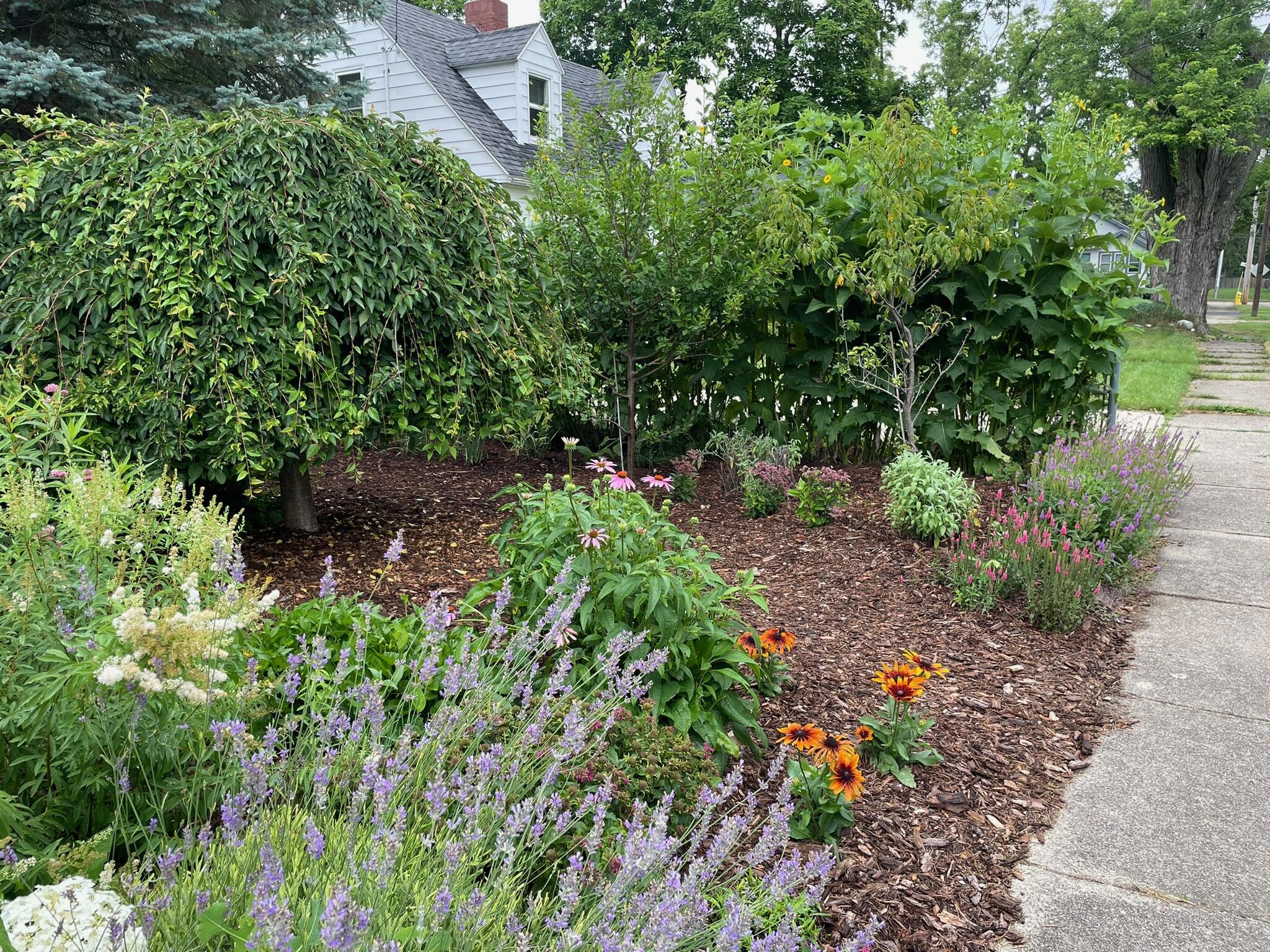 221 Nelson Avenue Kalamazoo MI 49006