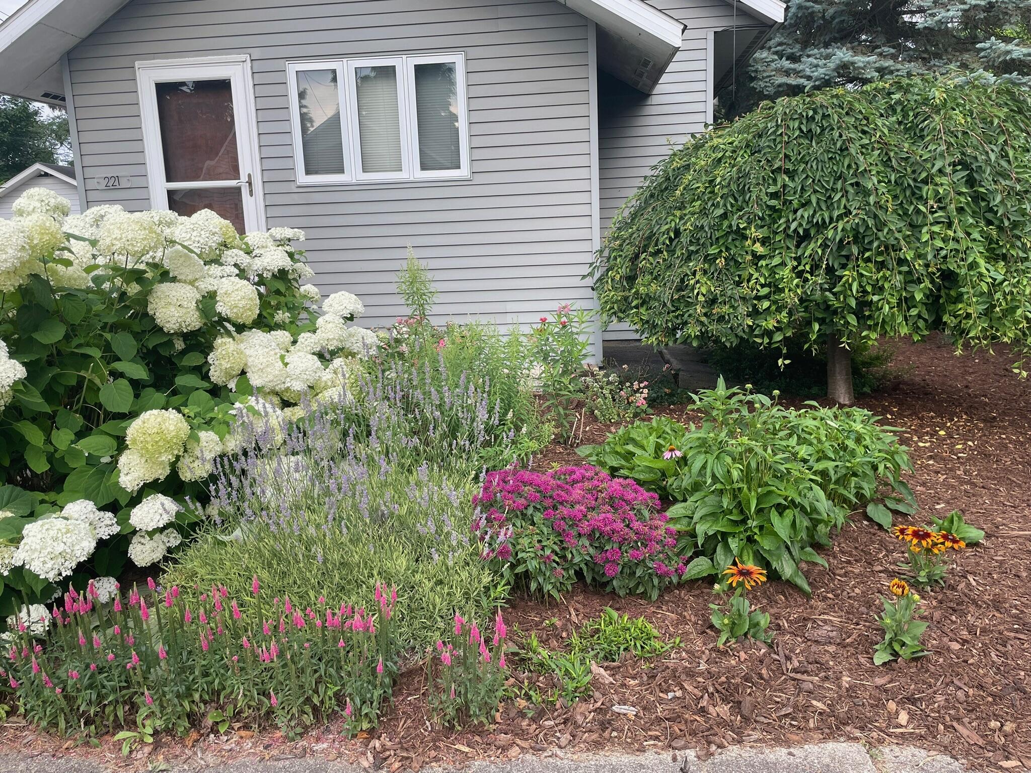 221 Nelson Avenue Kalamazoo MI 49006