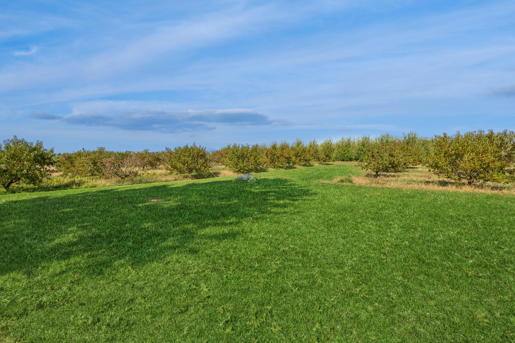 1360 Friday Road Coloma MI 49038