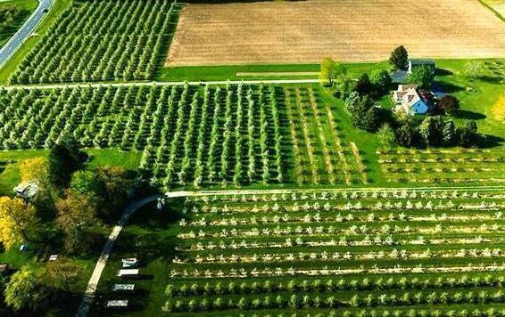 1360 Friday Road Coloma MI 49038