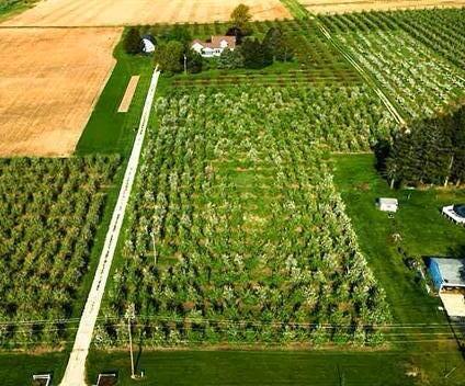 1360 Friday Road Coloma MI 49038