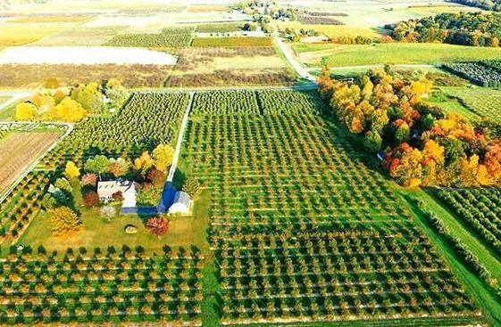 1360 Friday Road Coloma MI 49038