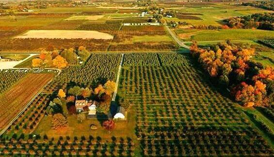 1360 Friday Road Coloma MI 49038