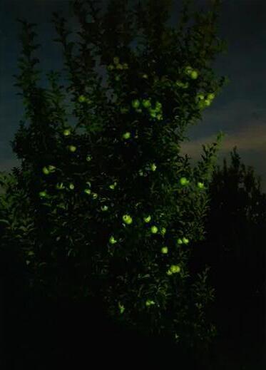 1360 Friday Road Coloma MI 49038