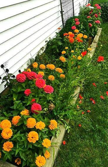 1360 Friday Road Coloma MI 49038