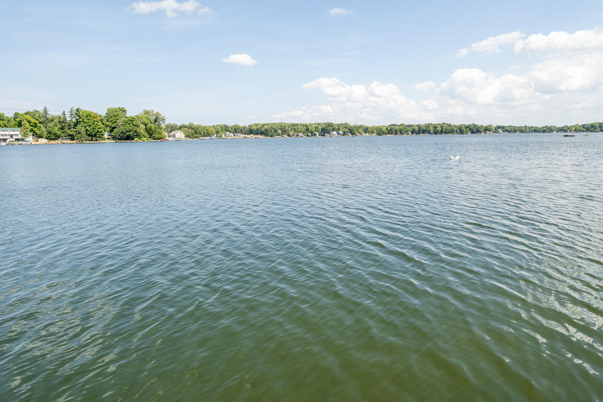 7881 Lakewood Drive Coloma MI 49038