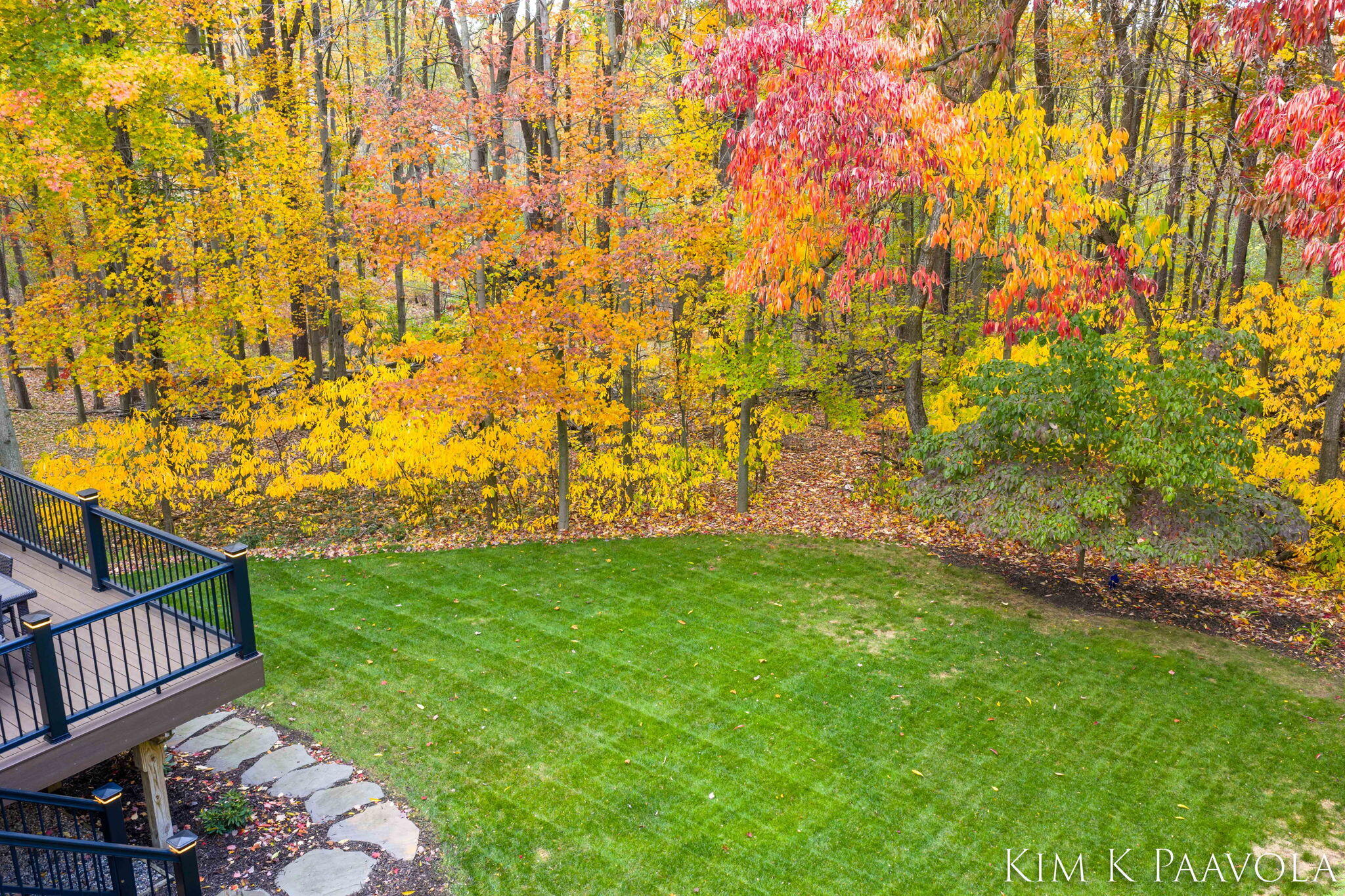 6289 Scarborough Drive SE Ada MI 49301