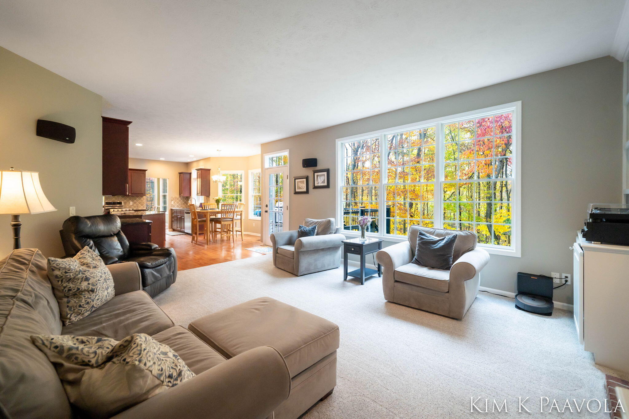 6289 Scarborough Drive SE Ada MI 49301