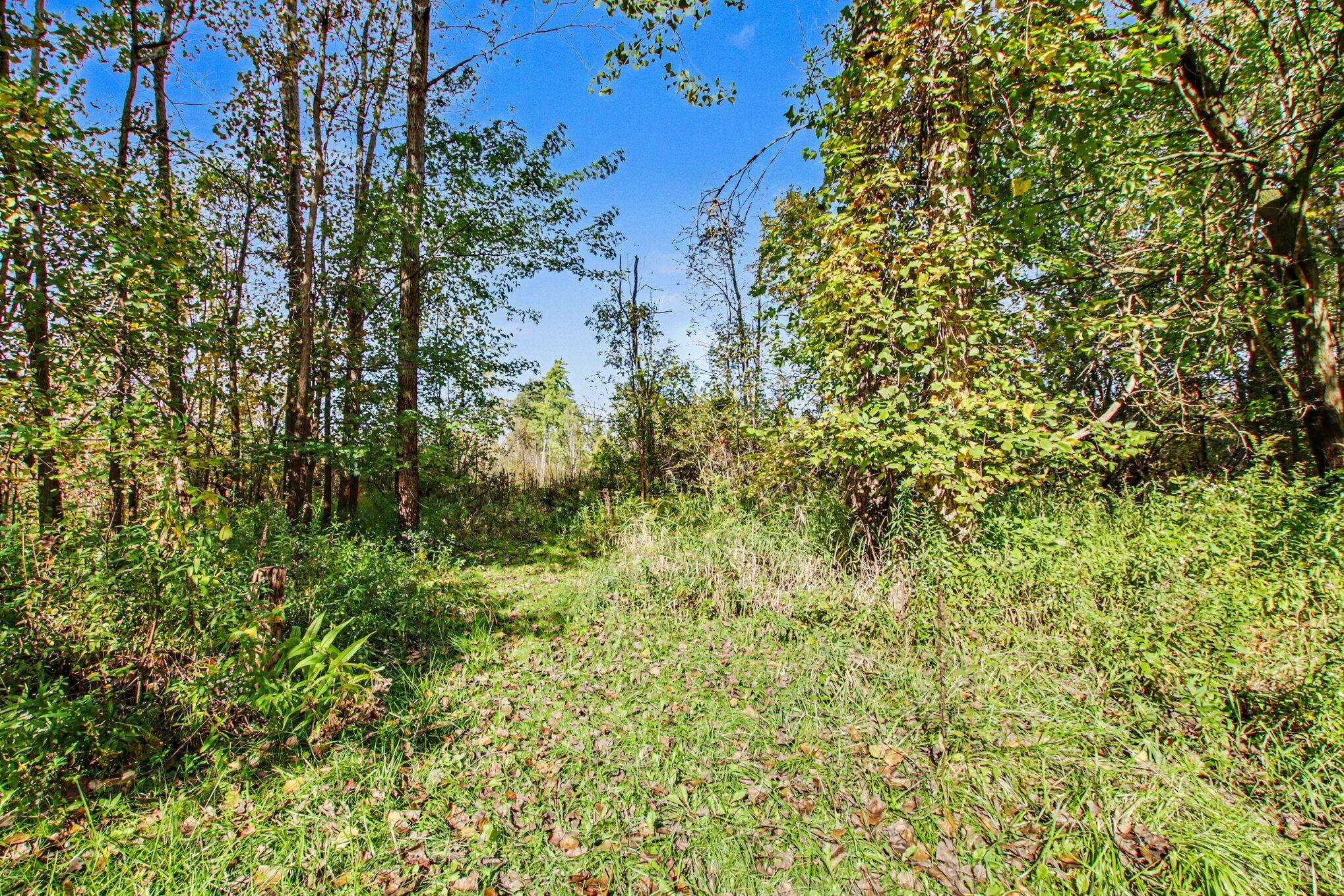 5441 Collingwood Avenue Kalamazoo MI 49004