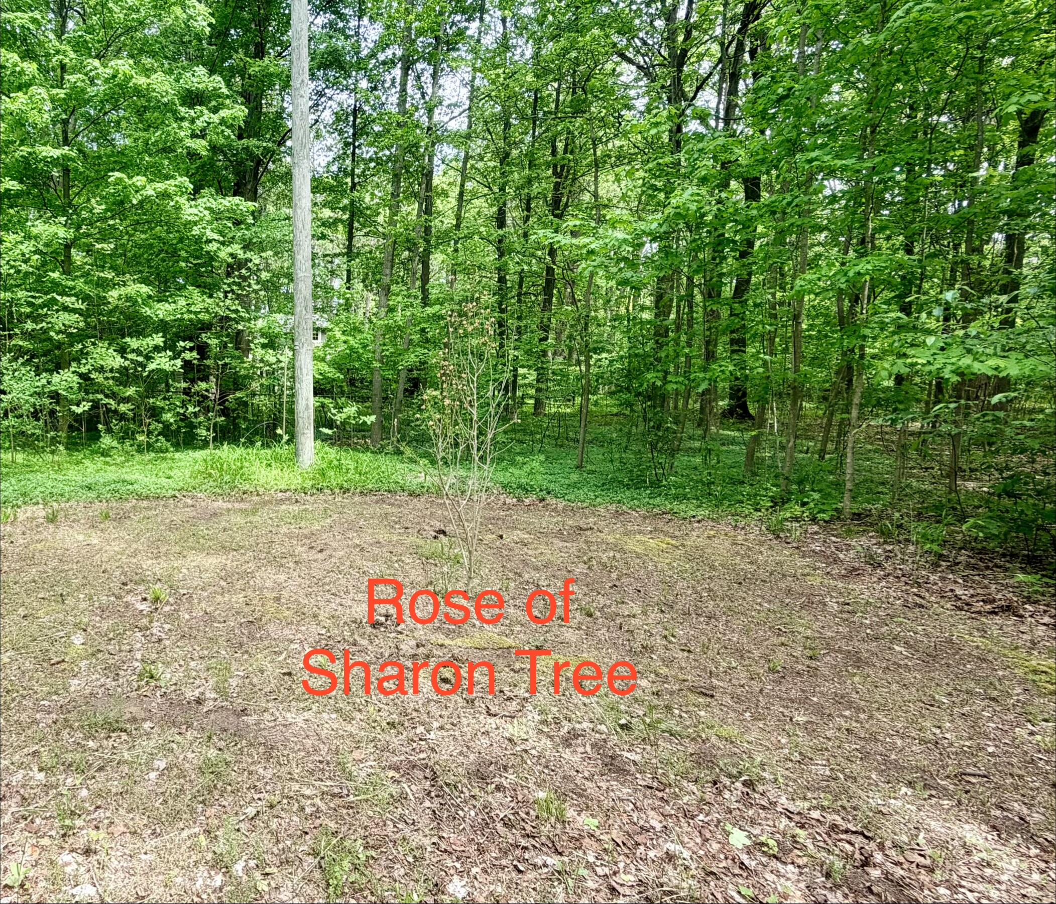 13953 Minnich Road Sawyer MI 49125