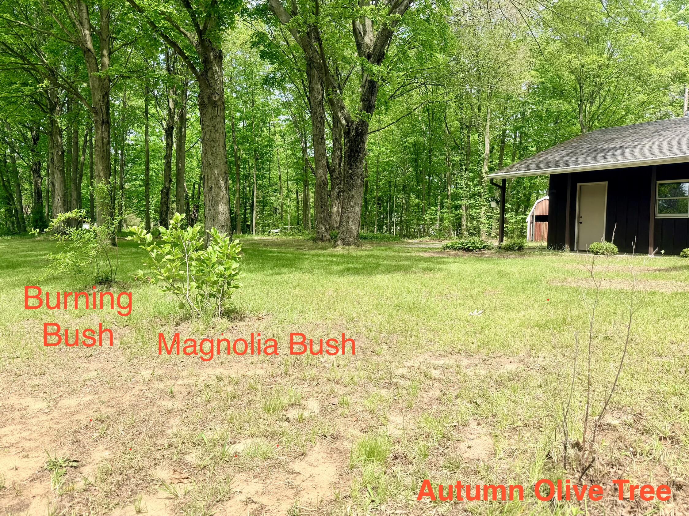 13953 Minnich Road Sawyer MI 49125