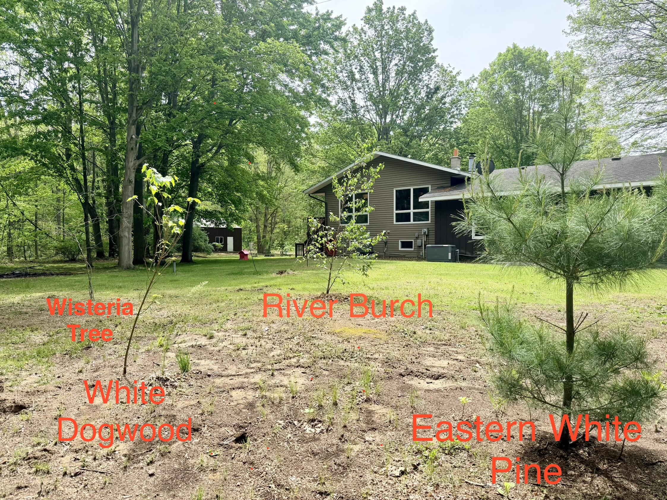 13953 Minnich Road Sawyer MI 49125