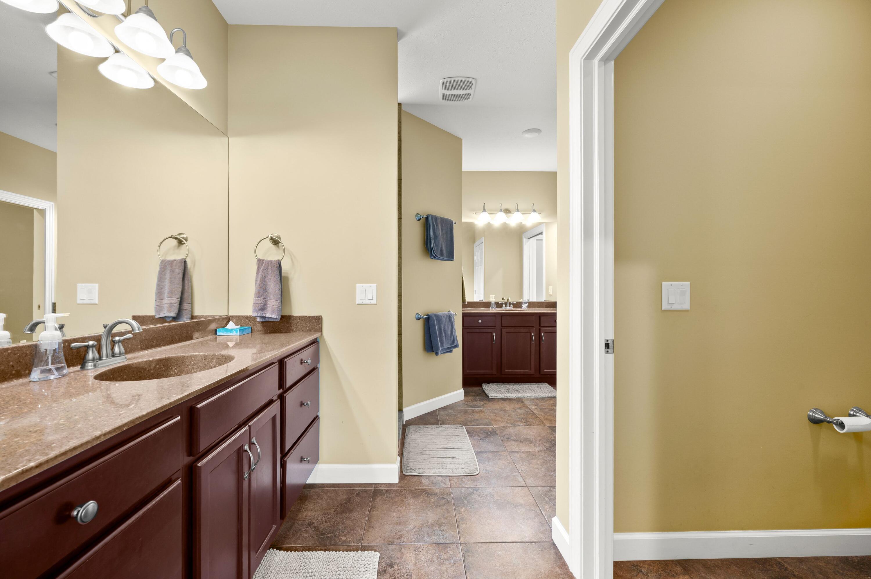 10582 Dana Drive Berrien Springs MI 49103
