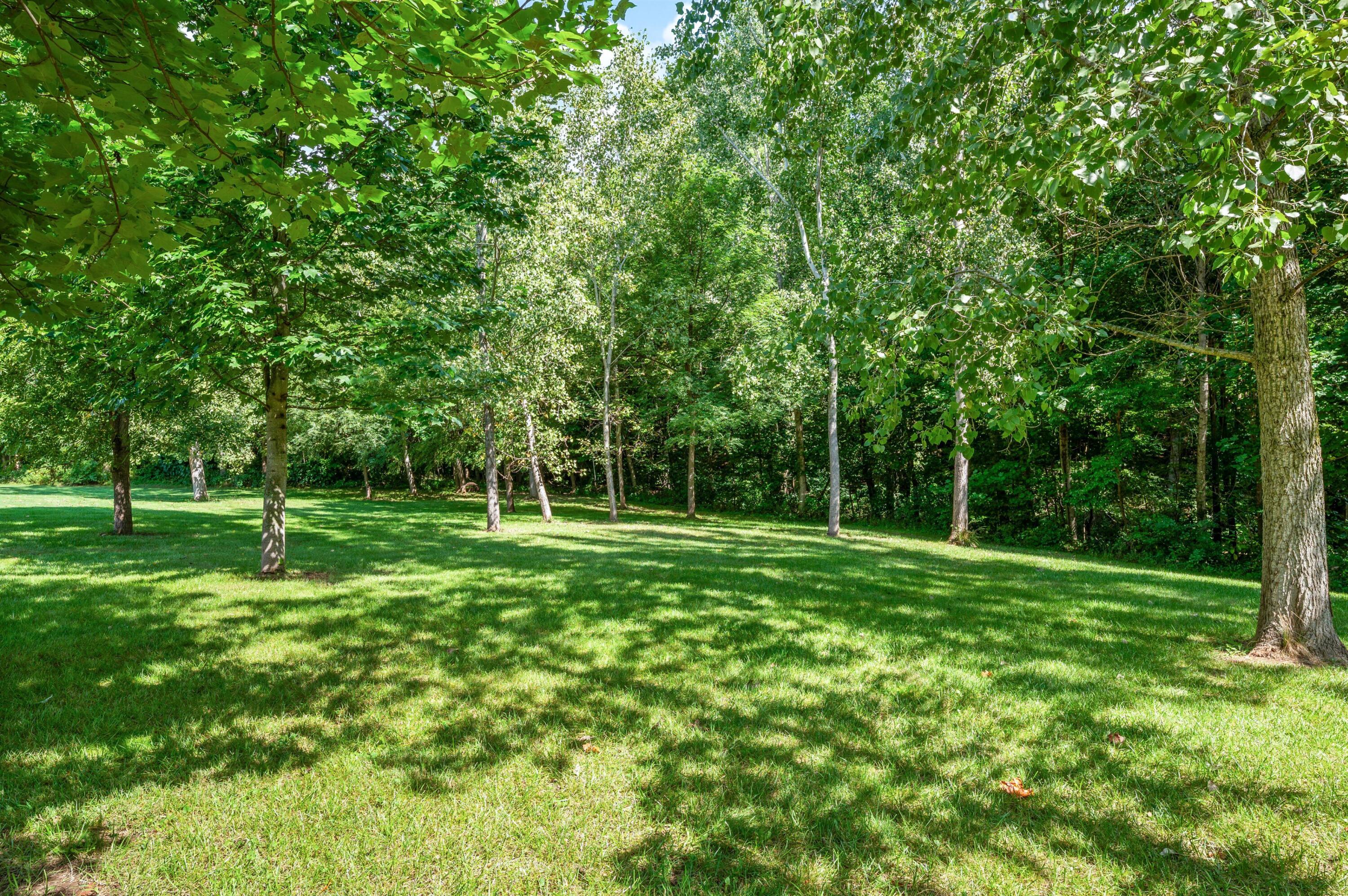 10582 Dana Drive Berrien Springs MI 49103
