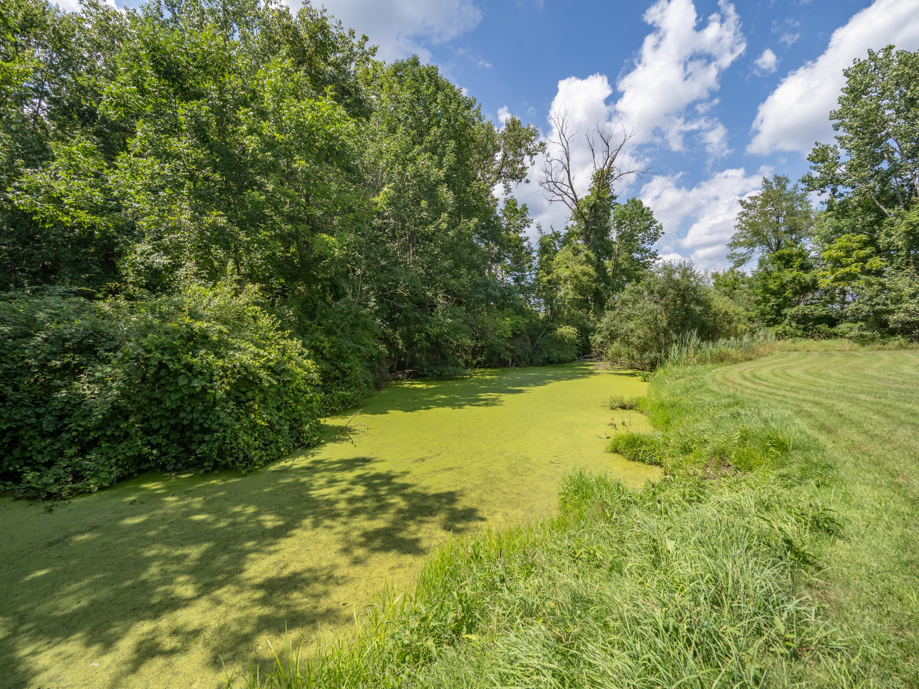 48316 County Road 384 Grand Junction MI 49056