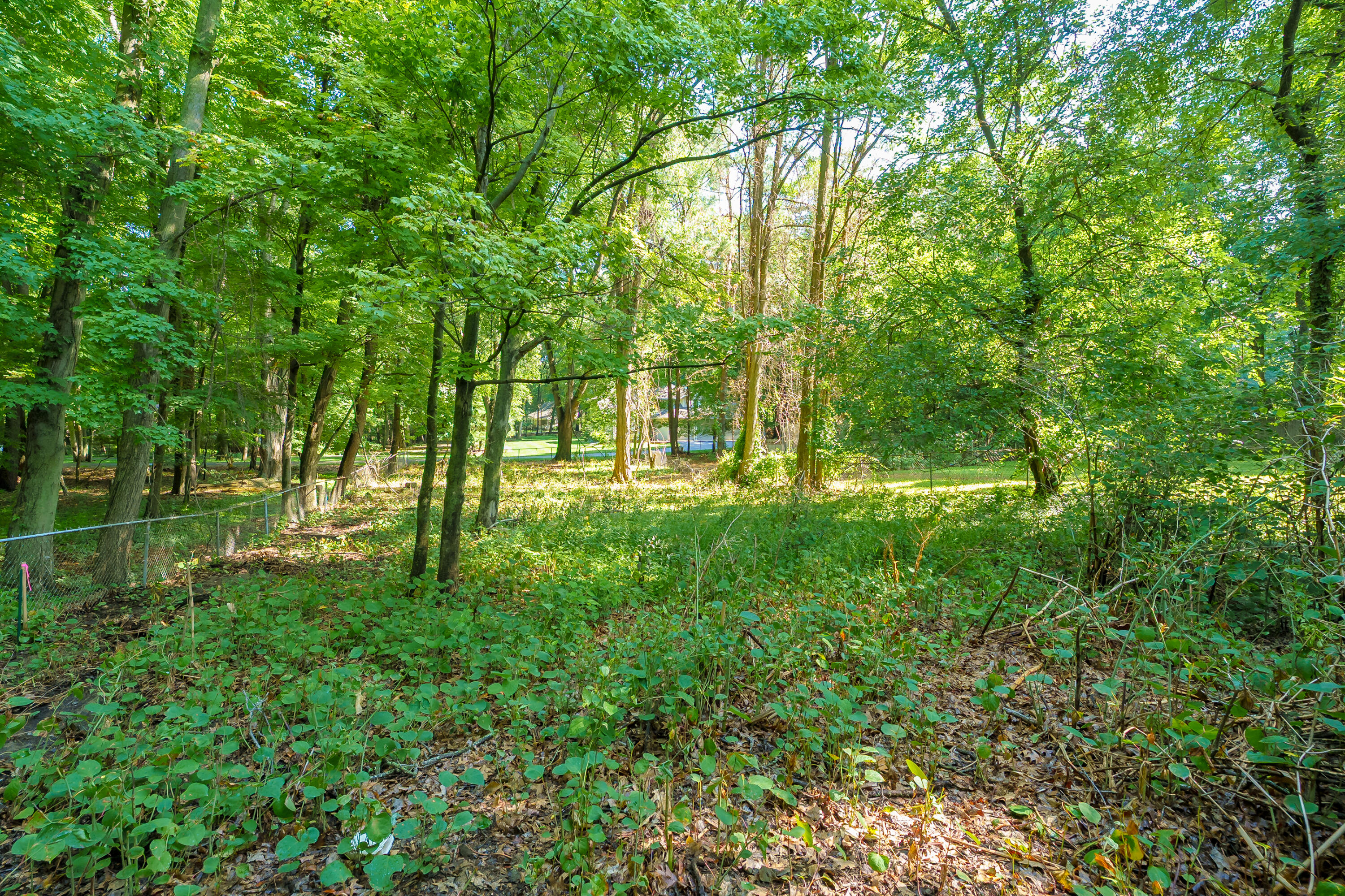 820 Forest Drive Portage MI 49002