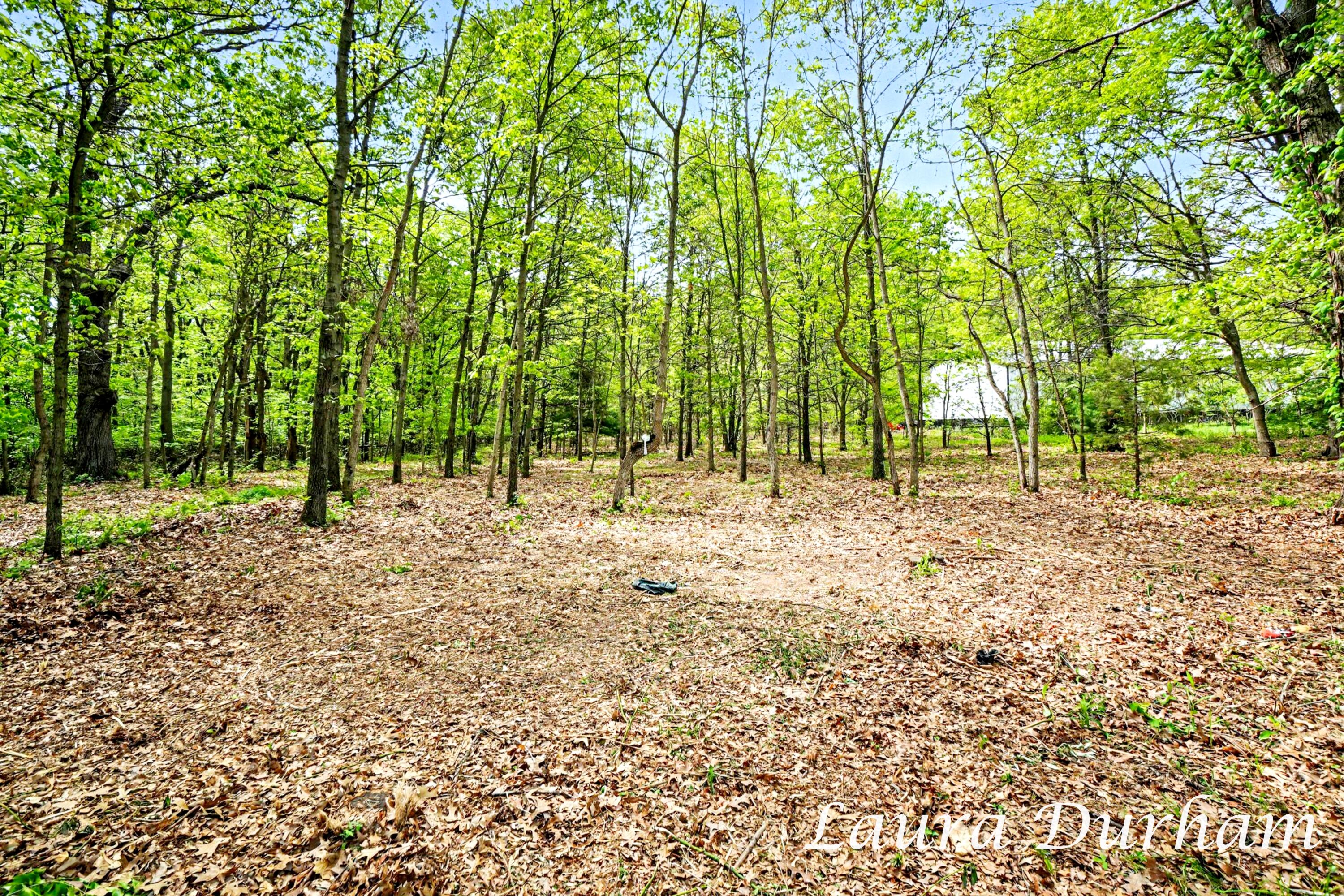 6312 Silver Lake Drive Saugatuck MI 49453
