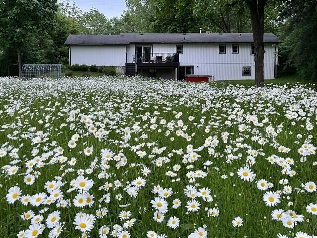 225 Alewa Drive NW Grand Rapids MI 49504