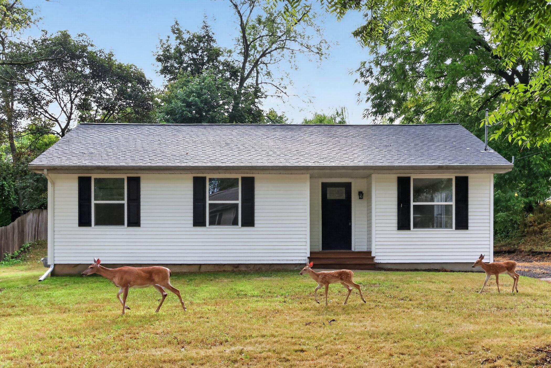 3427 Wood Street Kalamazoo MI 49008