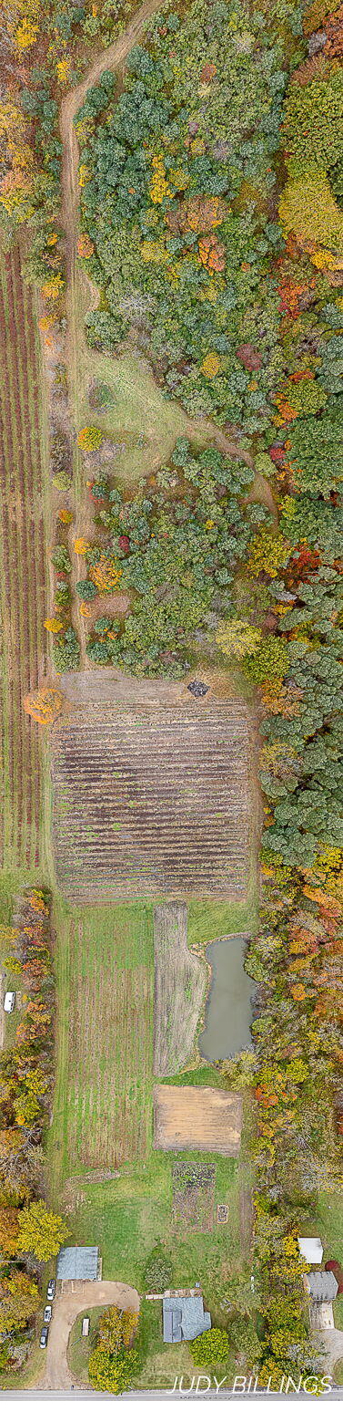 1676 68th Street Fennville MI 49408