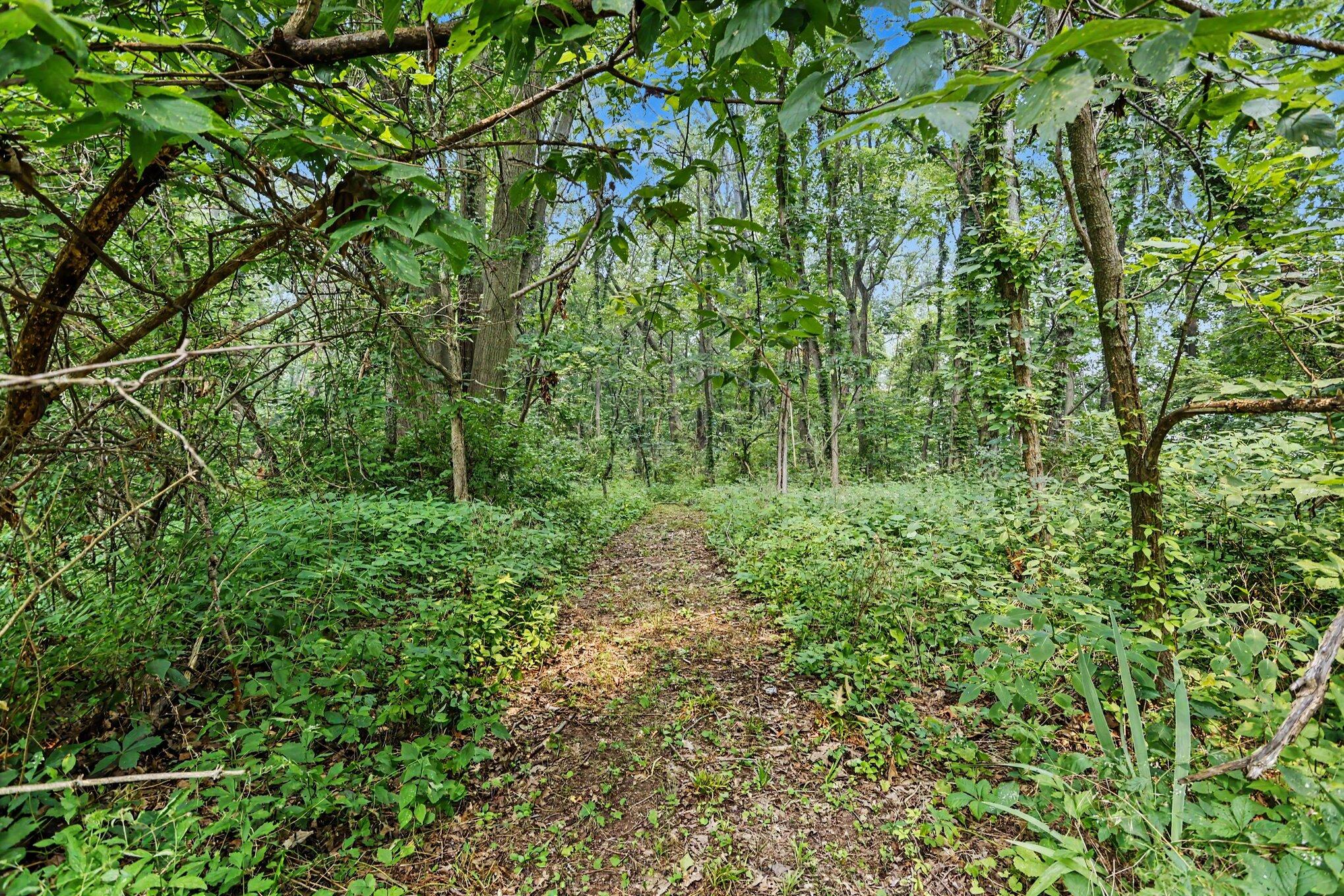 1406 Camp Road Buchanan MI 49107