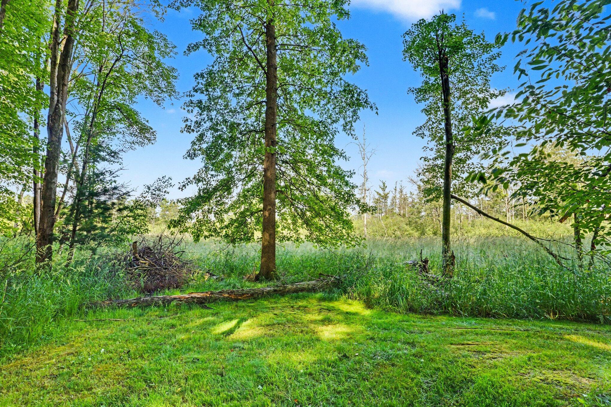 9713 Oakview Drive Portage MI 49024